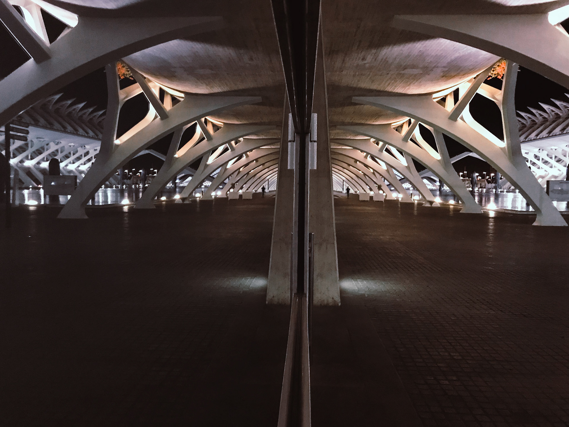 Spiegelungen in der Ciutat de les Arts i les Ciències - Valencia