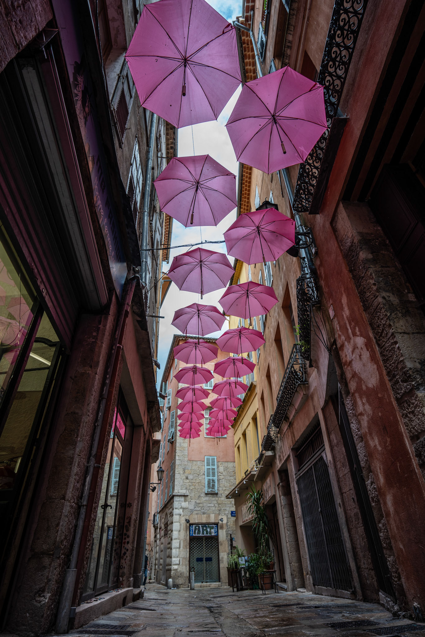 Grasse