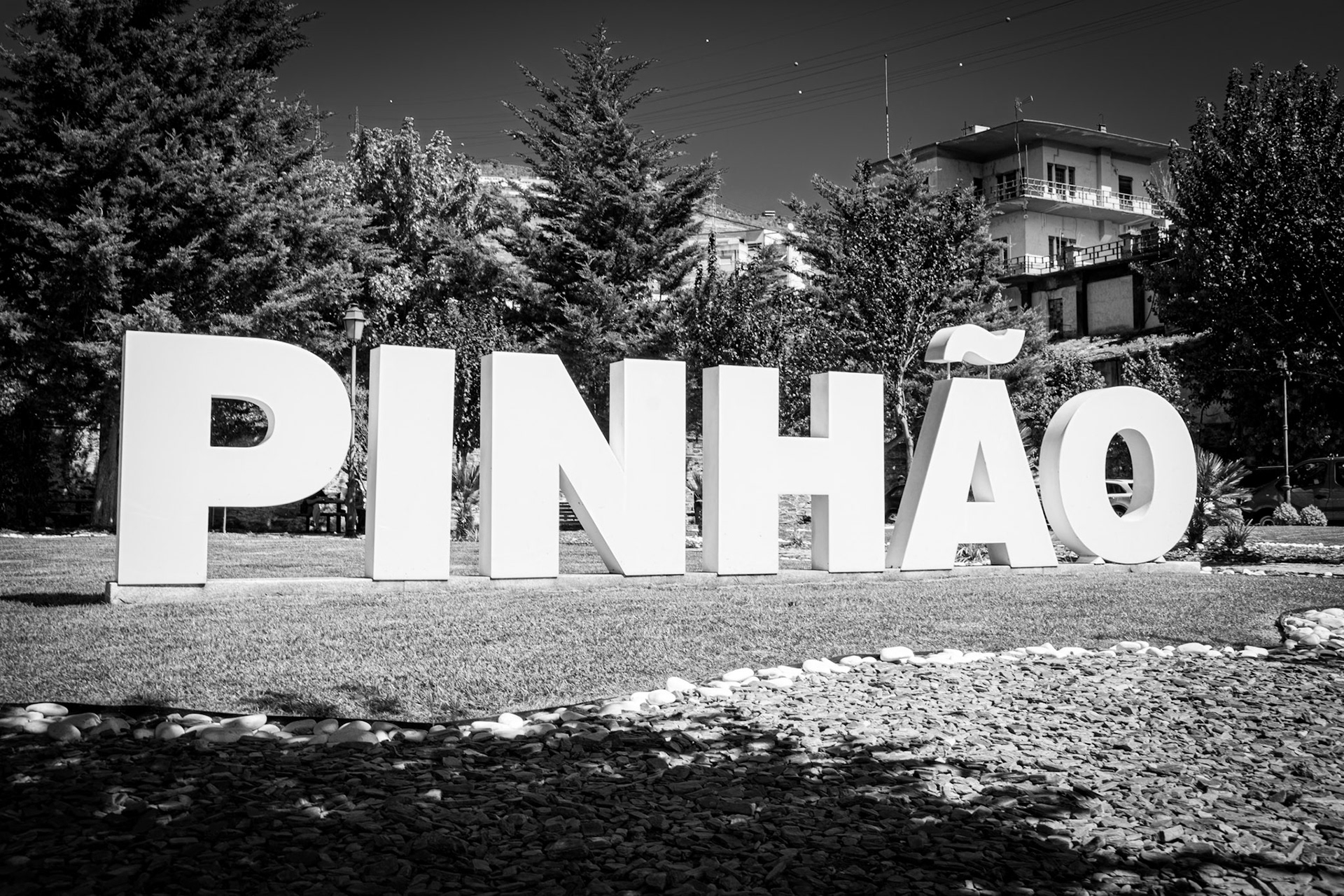  Pinhão 