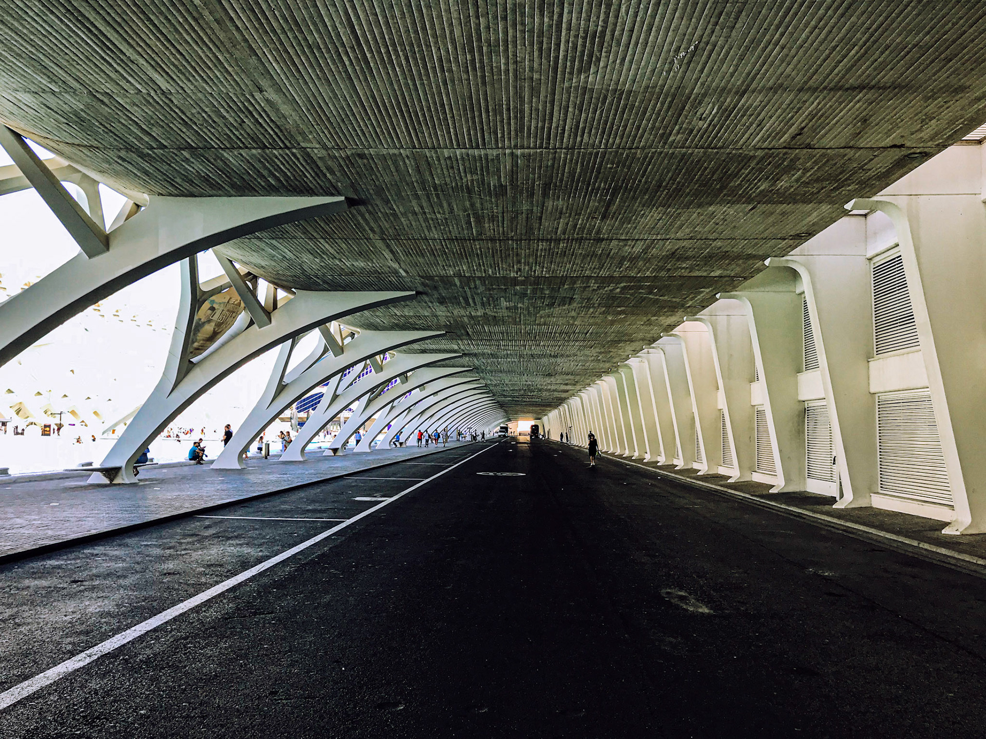 Ciutat de les Arts i les Ciències - Valencia