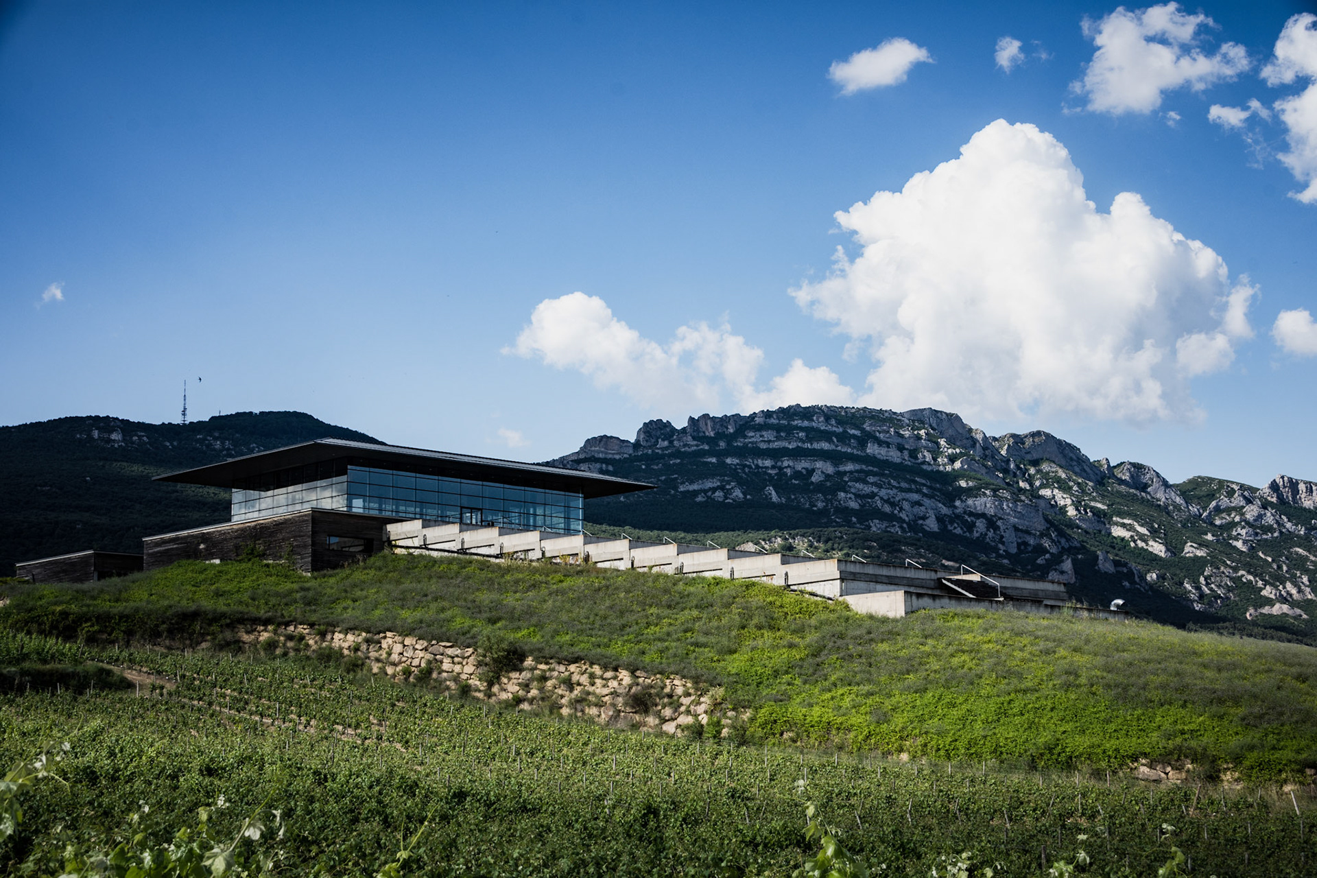 Bodegas Baigorri - La Rioja