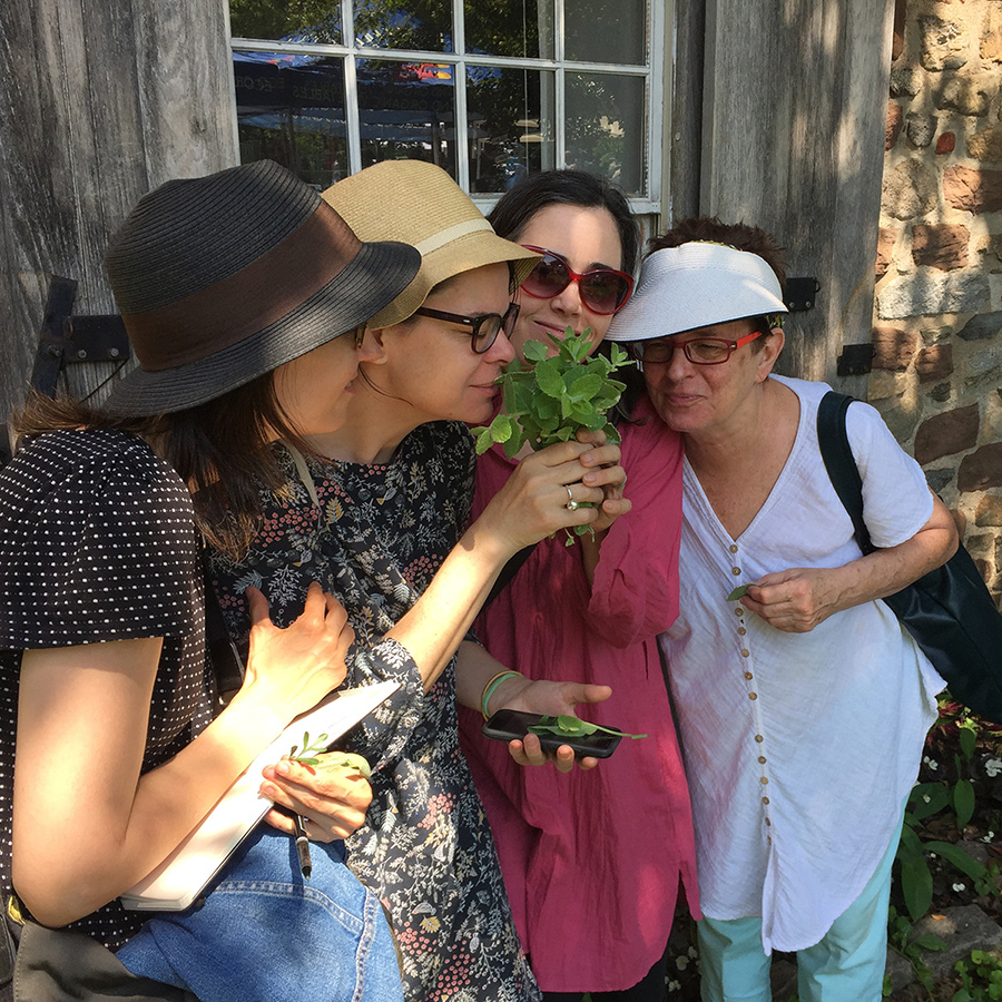 Herb walk, Old Stone House, Brooklyn