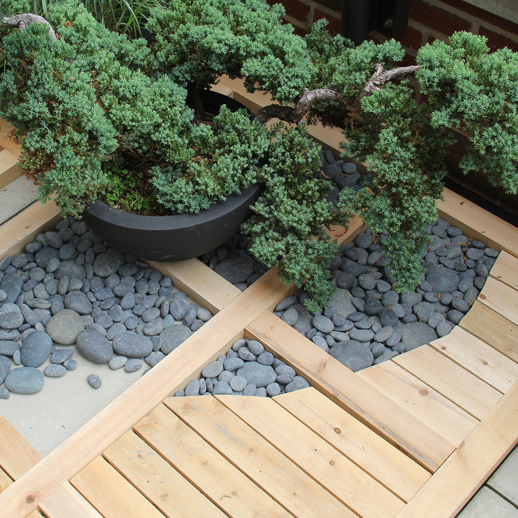 Terrace Garden, Downtown Brooklyn