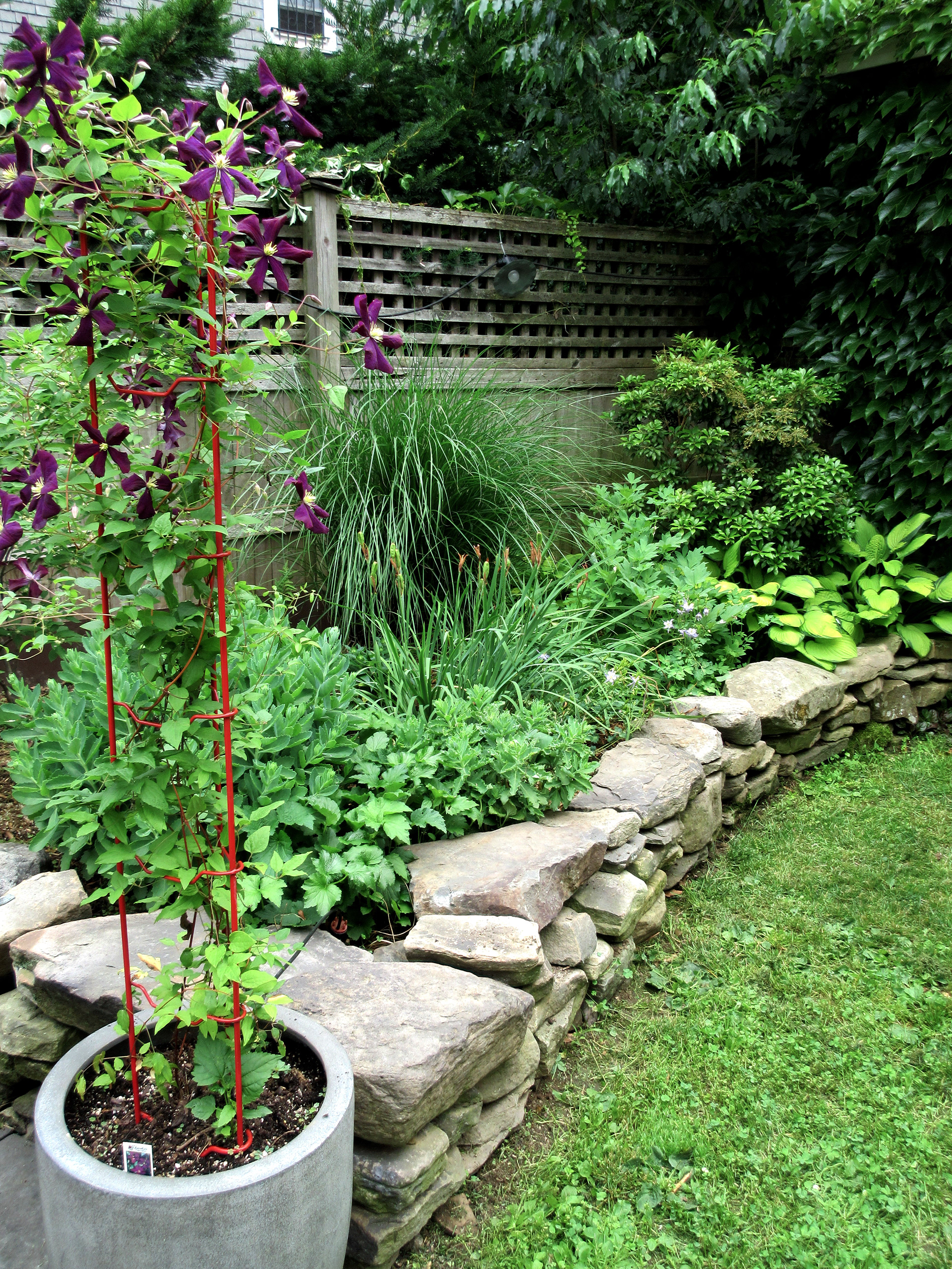 E 16th street, Brooklyn