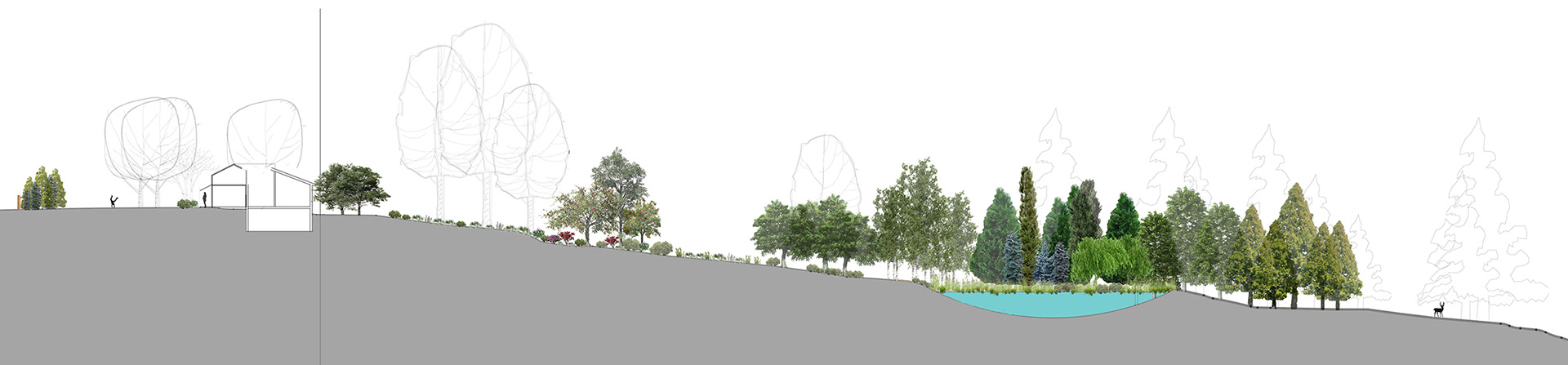 Site Section, Masterplan, Foordmore Road, Kerhonkson