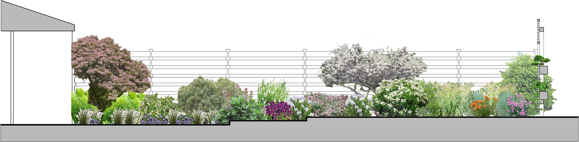 Rendered Section, E17th St, Brooklyn