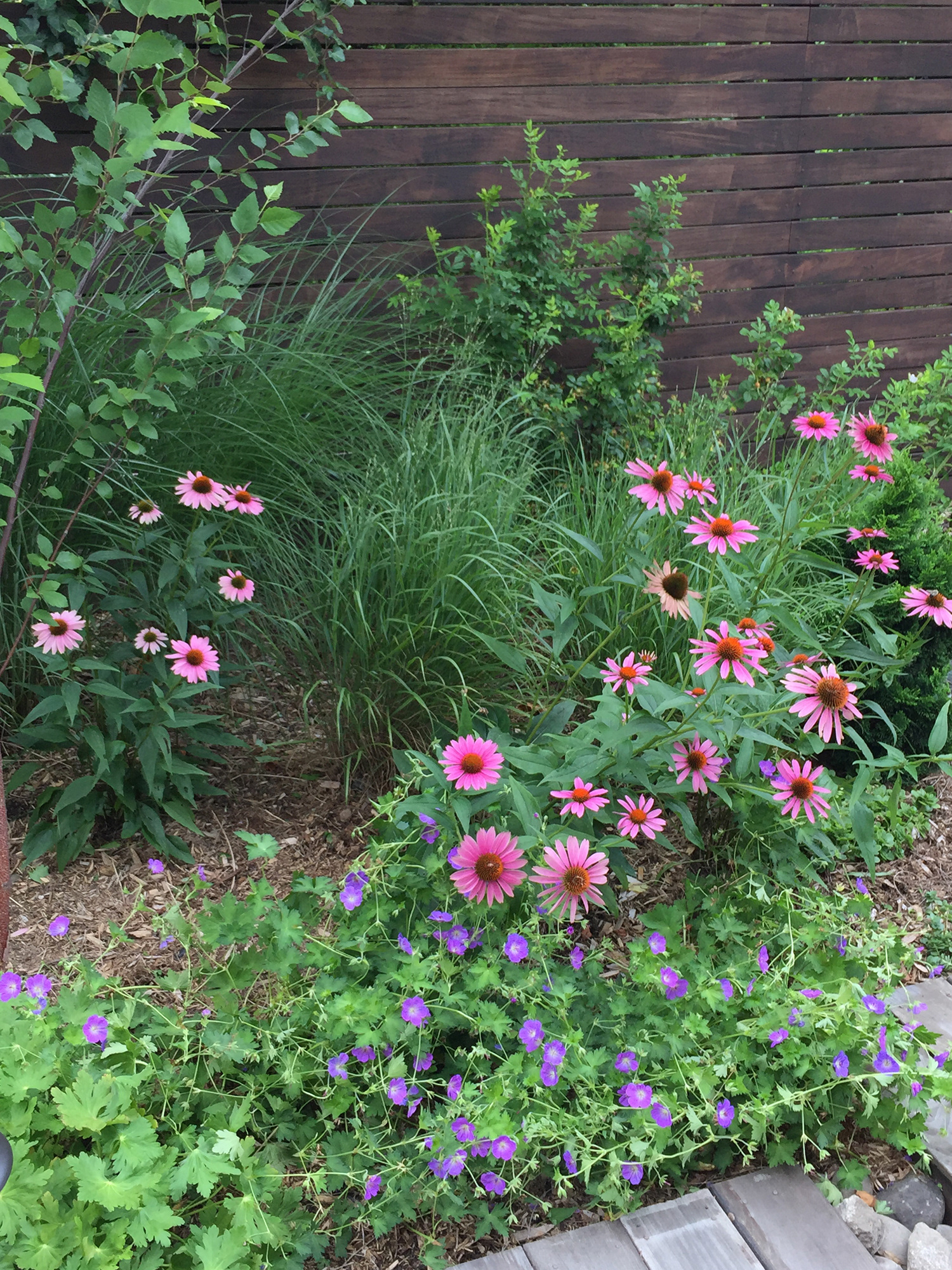 Prospect Heights, Brooklyn