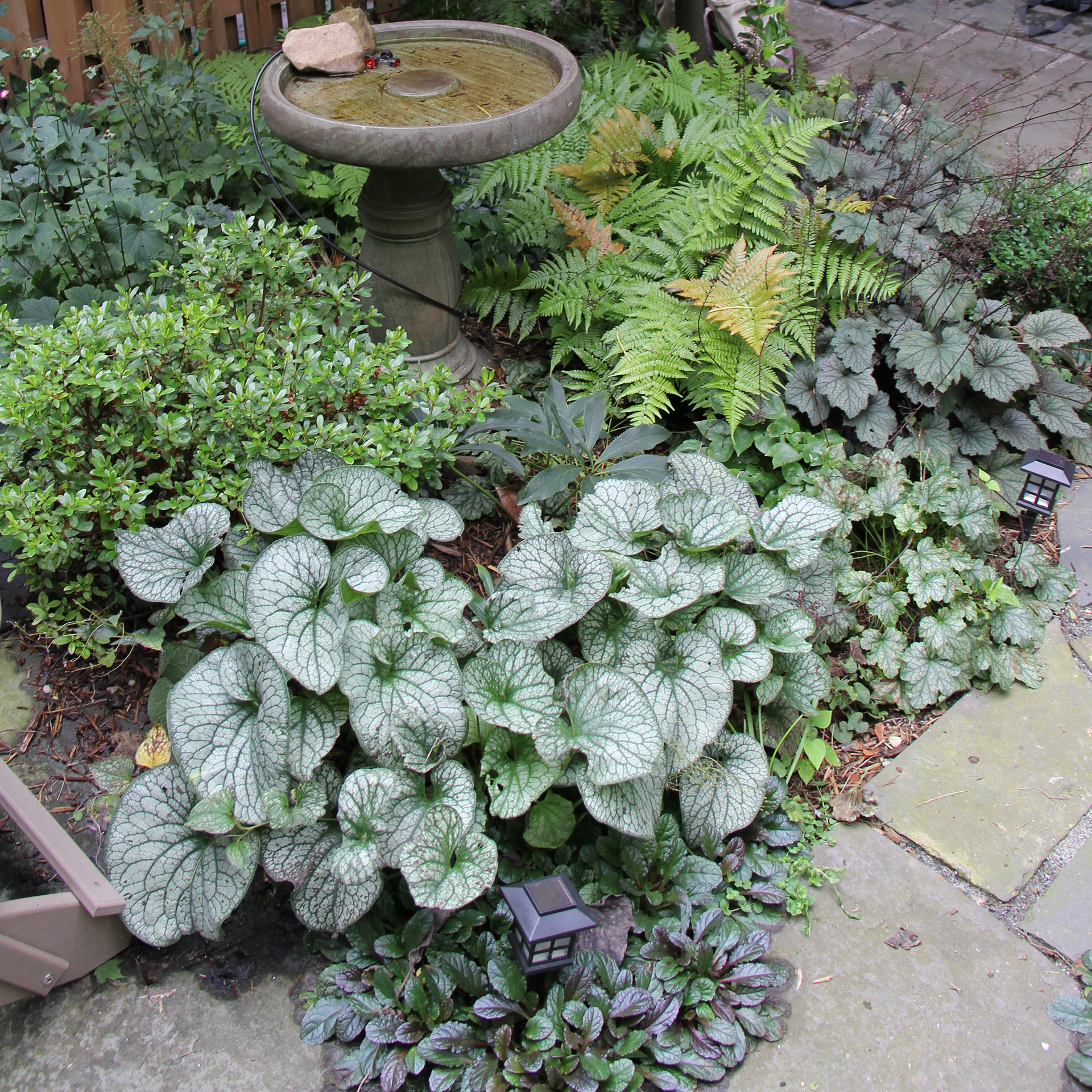 Berkeley Place, Brooklyn