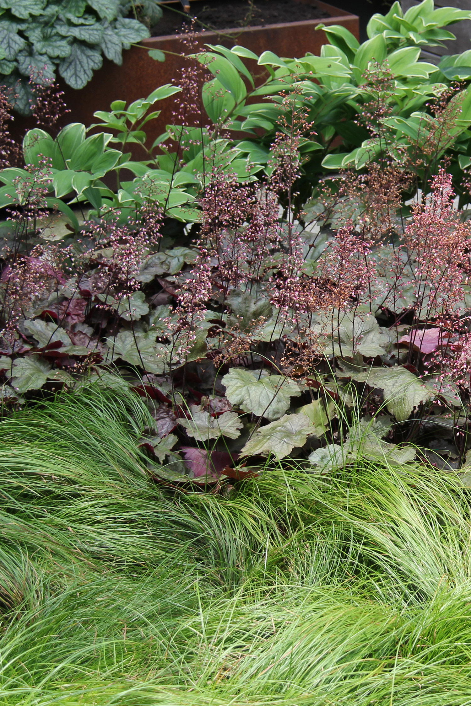 Meadow, Park Slope, Brooklyn