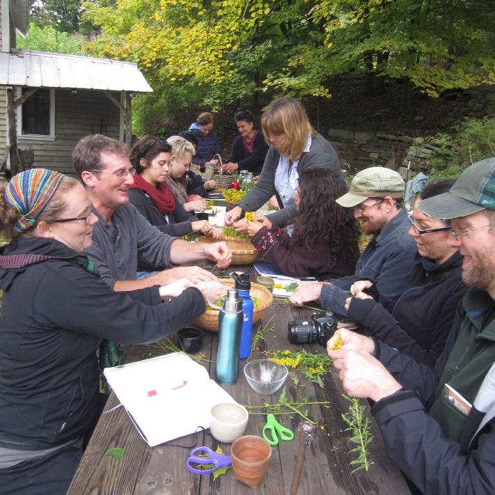 Medicinal Herb Workshop with Arborvitae