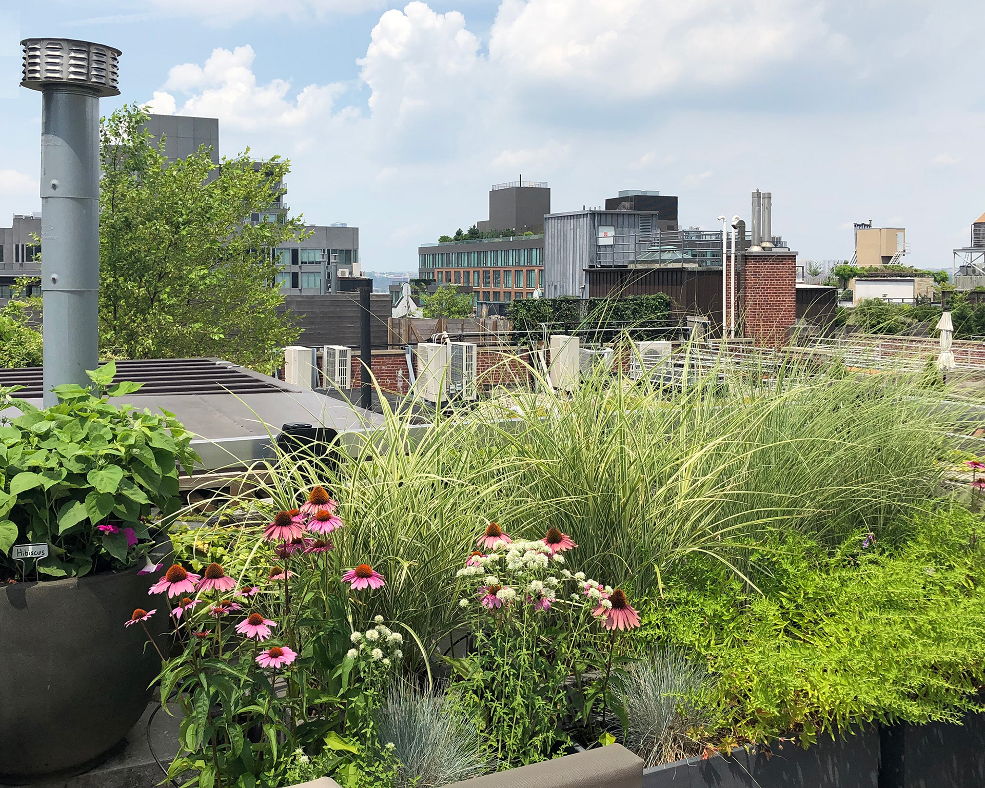 Tribeca Rooftop, New York City
