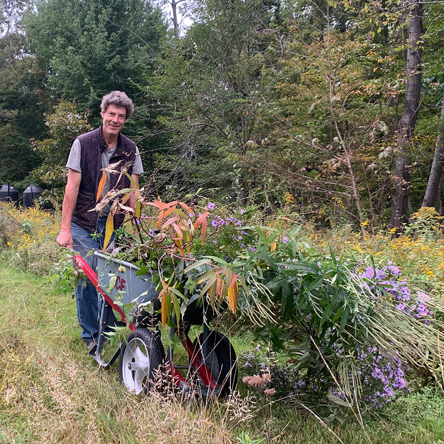 Fall planting