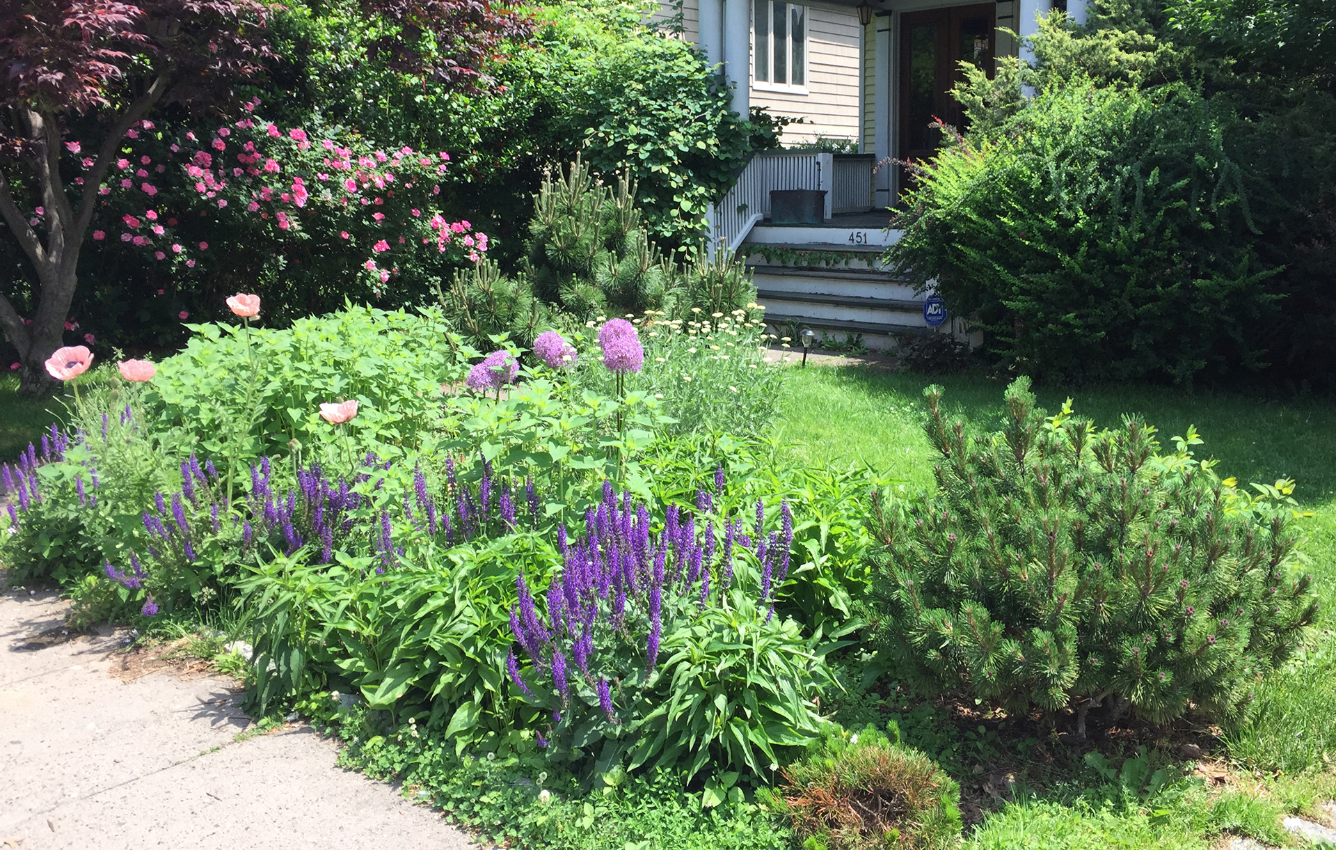 Ditmas Park, Brooklyn