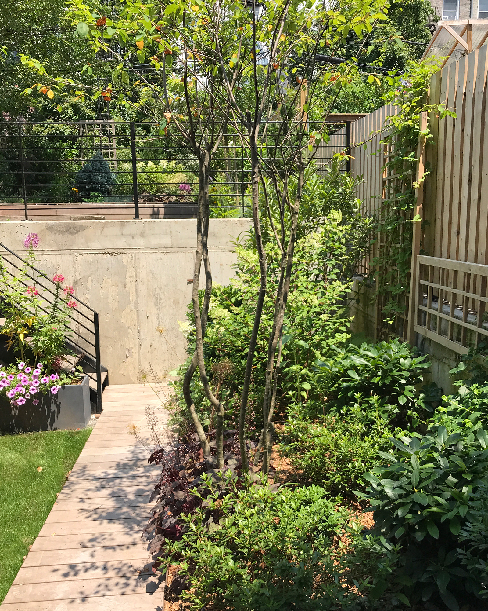 Patio Garden, Cobble Hill, Brooklyn