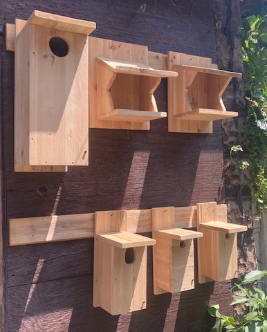Birdhouse gallery