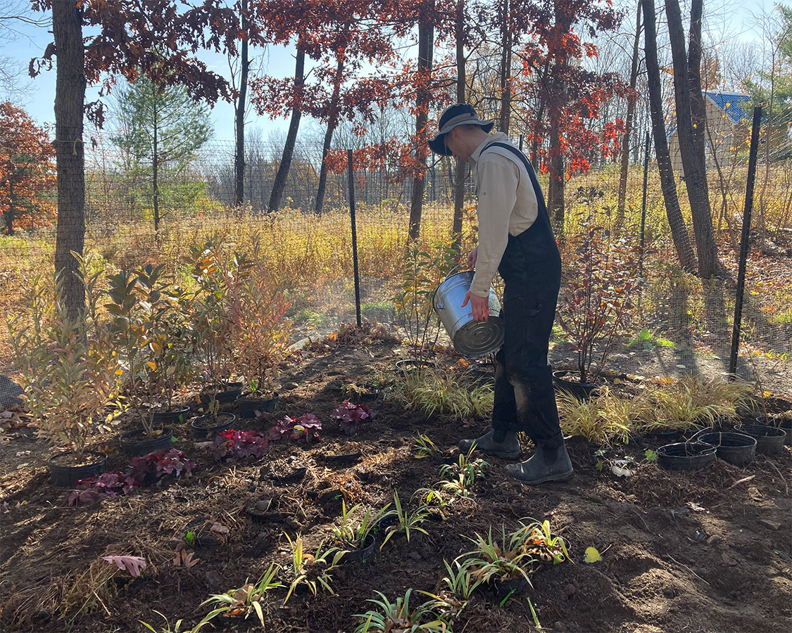 Nursery-ing young, native plants