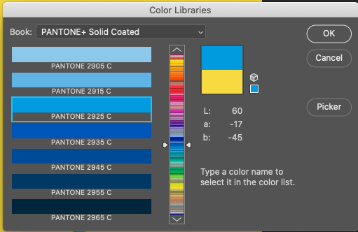 PANTONE 2925