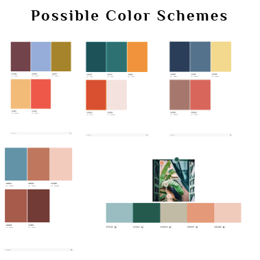 Possible Color Schemes