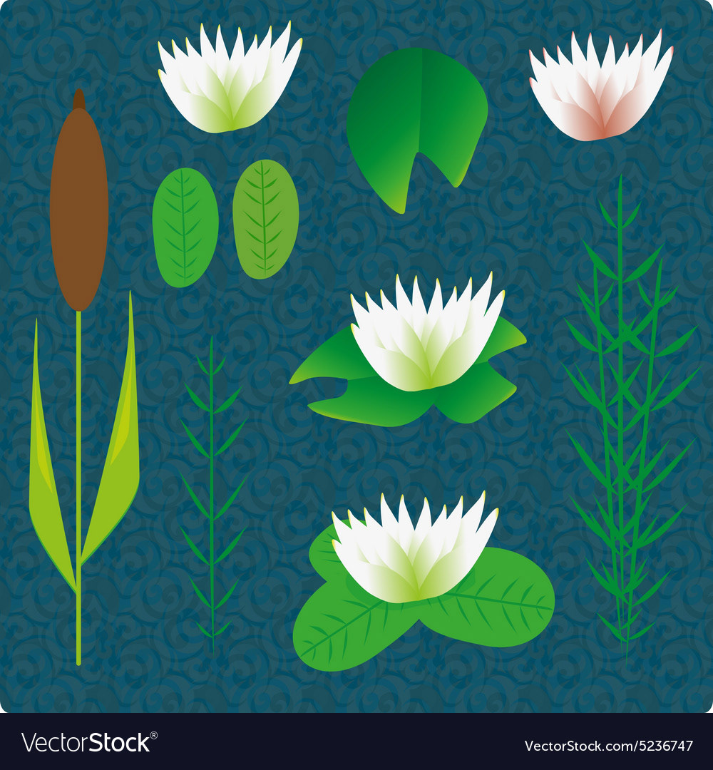 River Plant Ideas