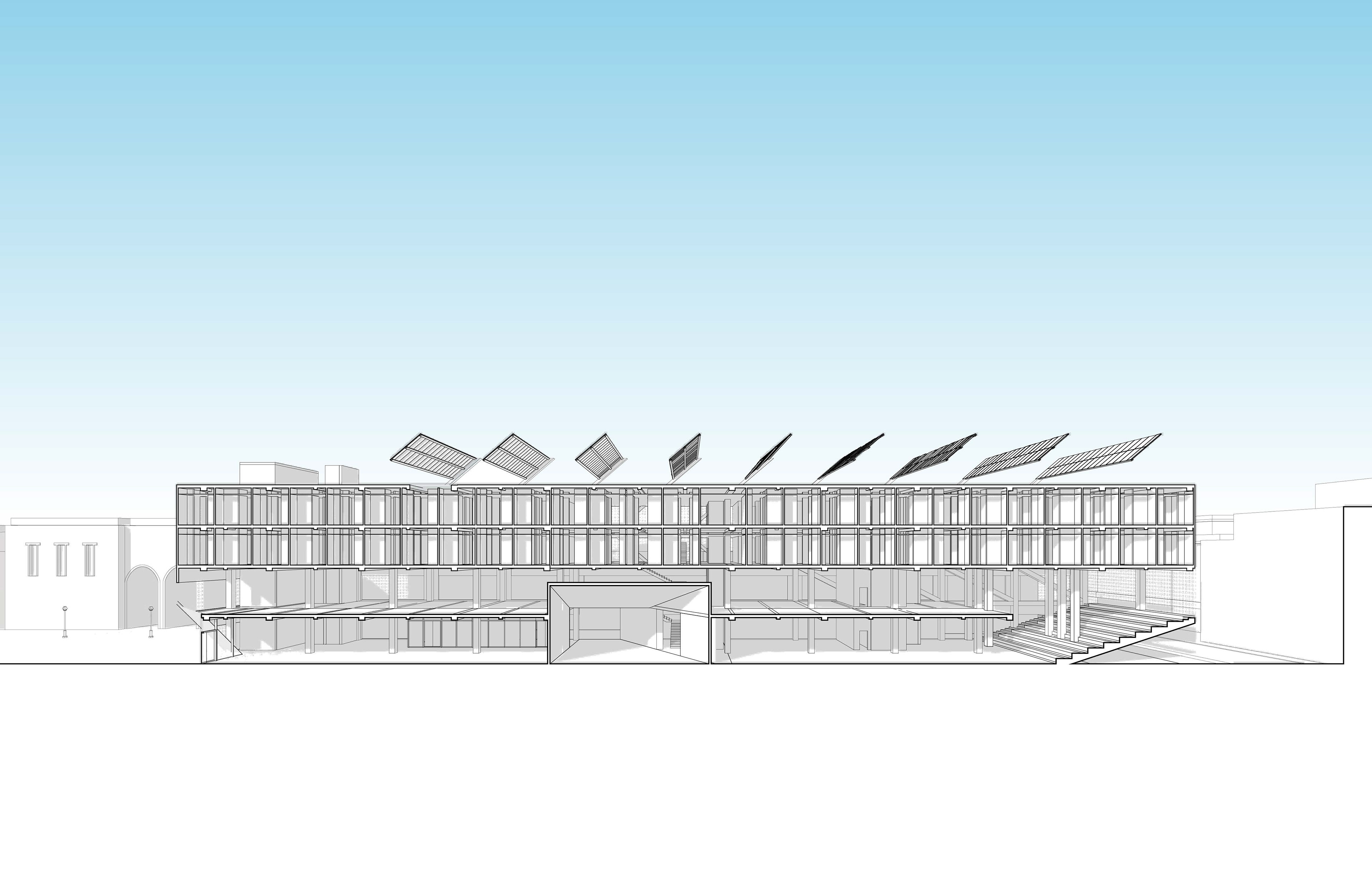 Longitudinal Section
