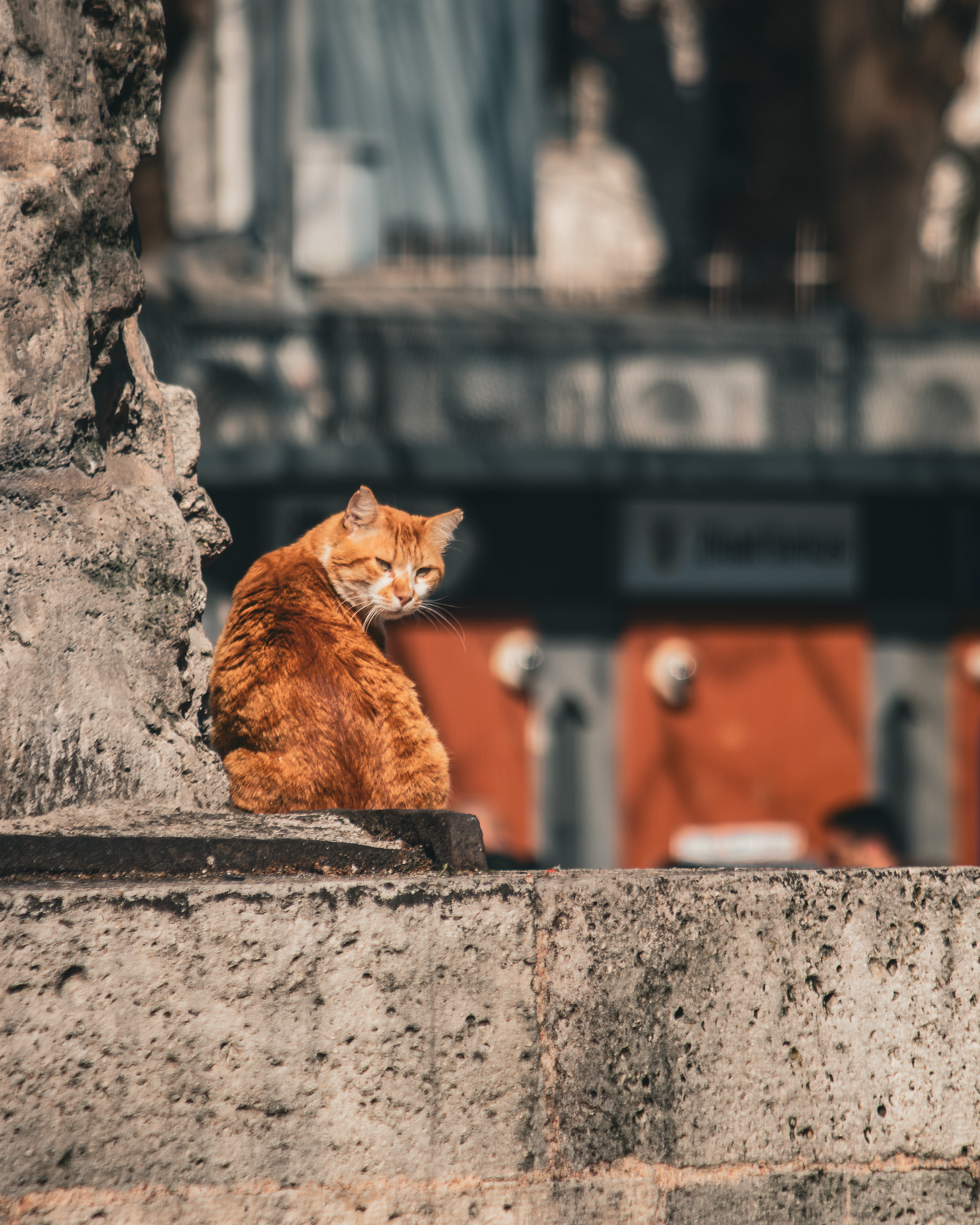 Istanbul, Turkey