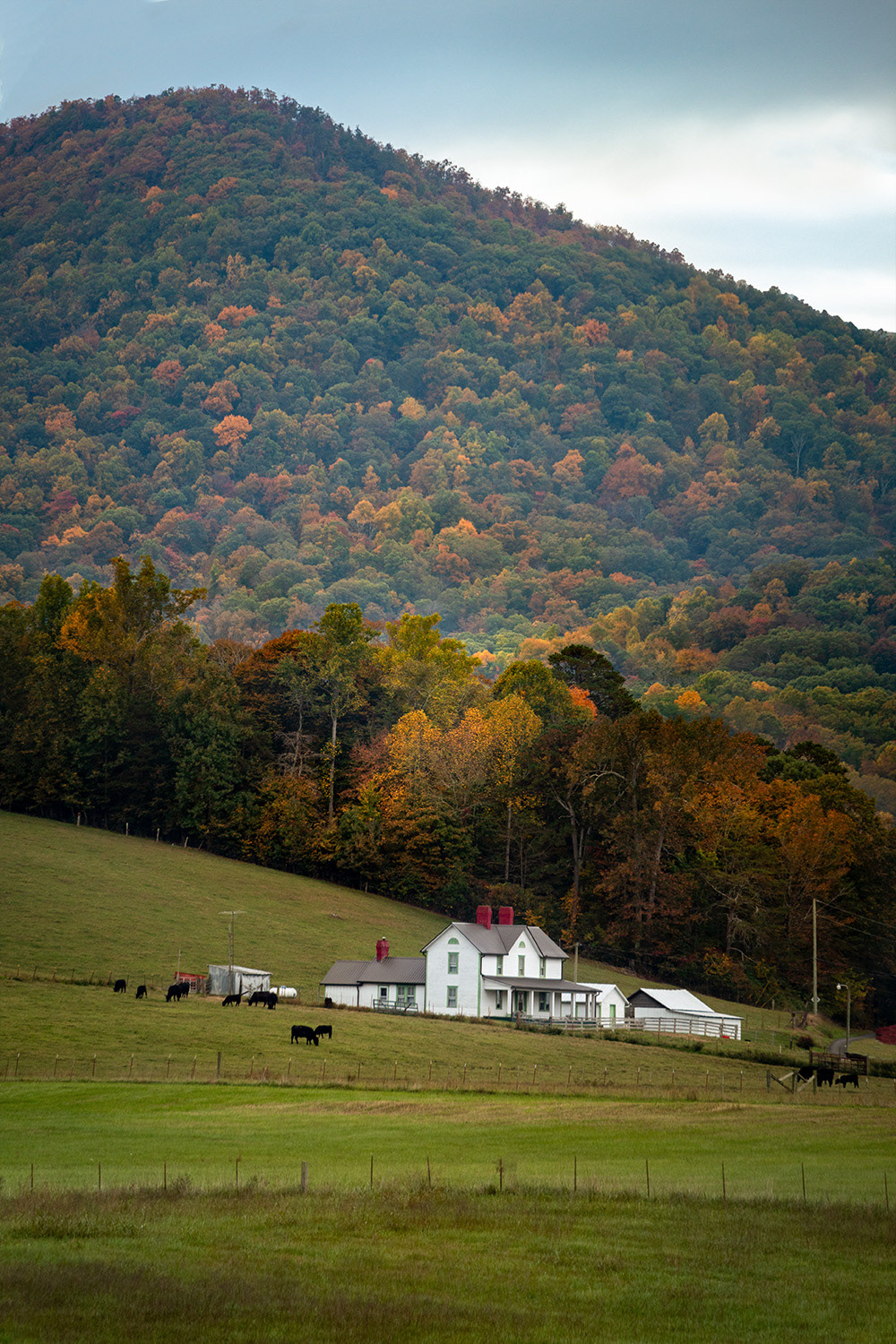 Smoky Mountain Backdrop 3, 2020
