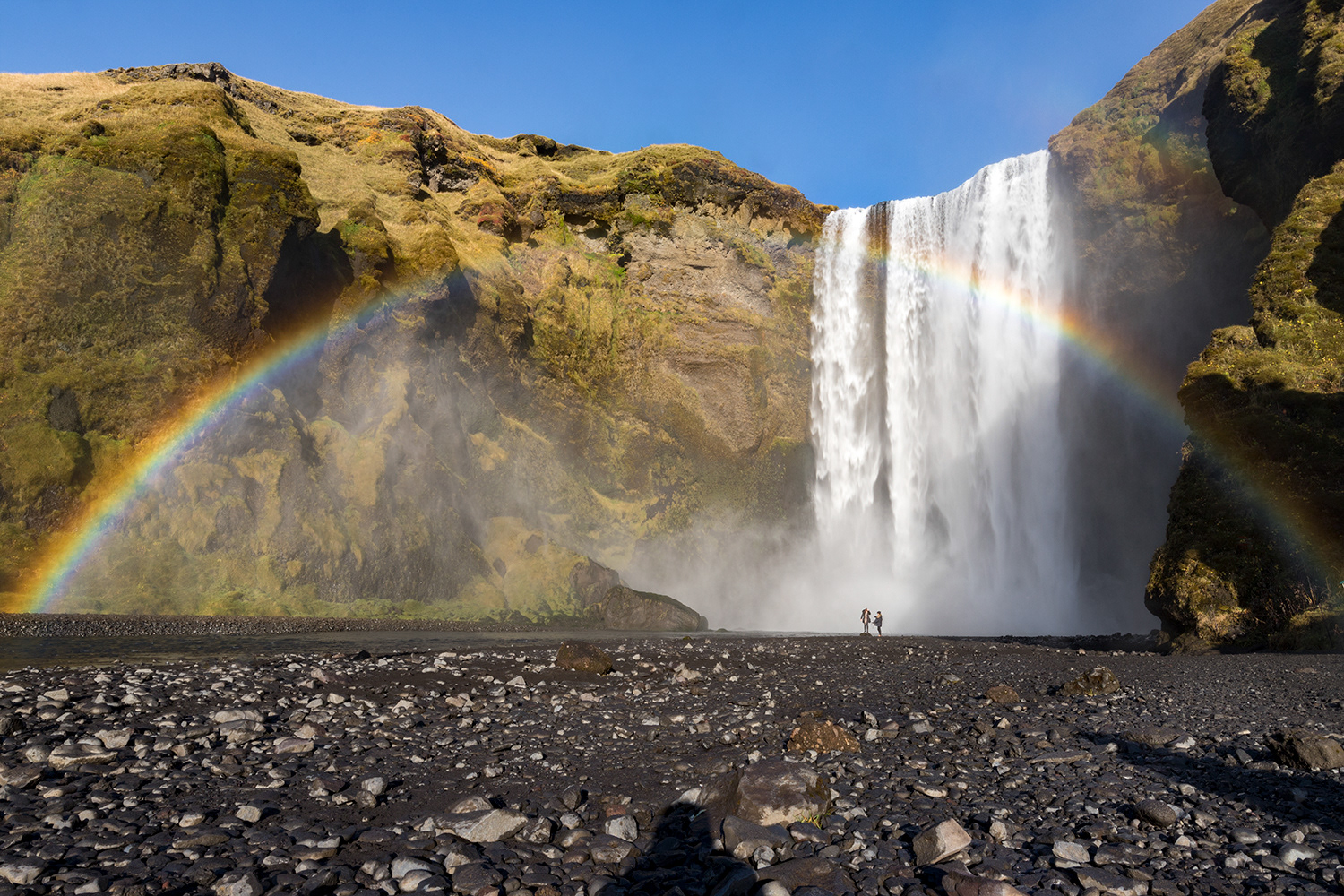 Over the Rainbow, 2017