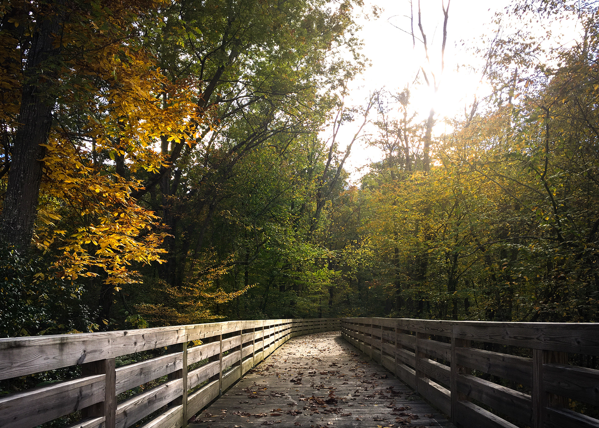 Greenbelt