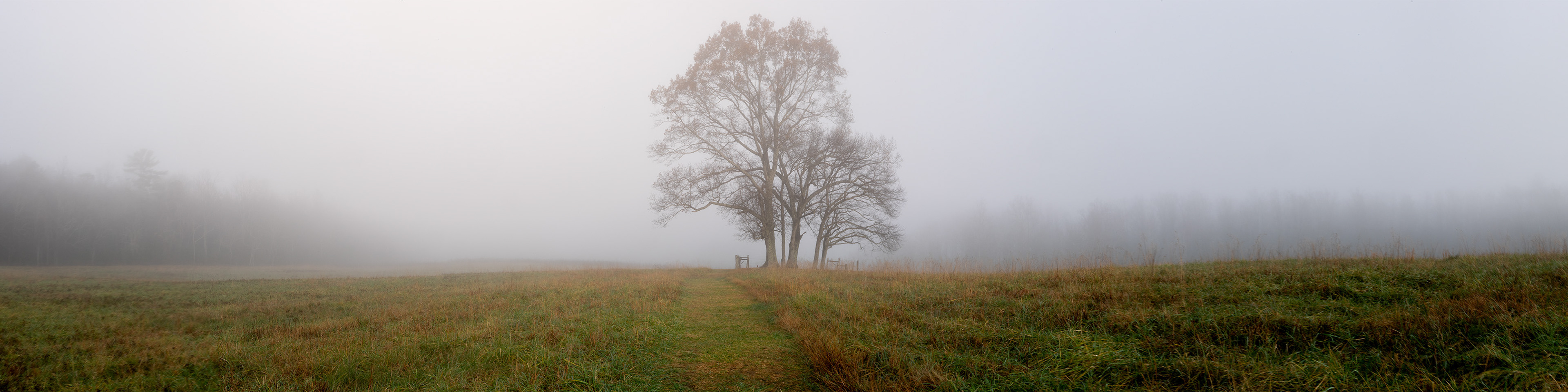 Foggy Cades Cove - GSMNP, 2018