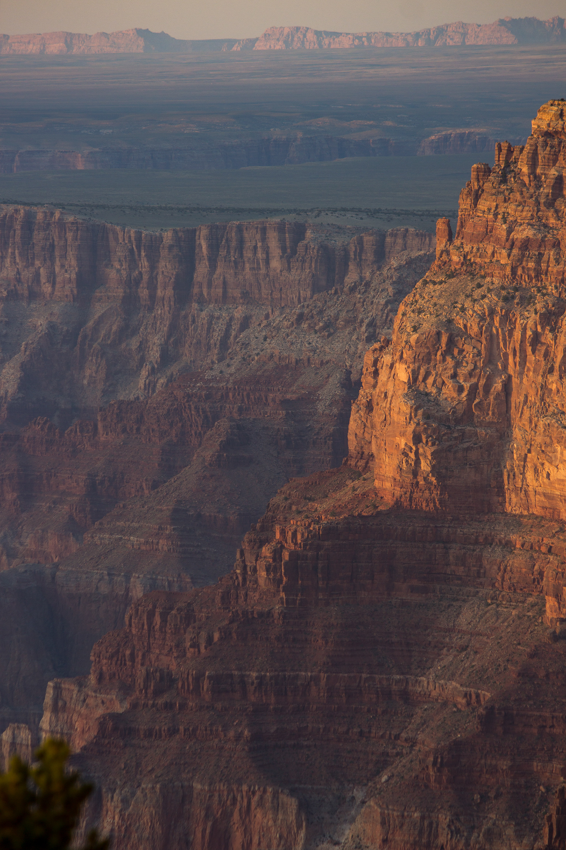 Grand Canyon 1, 2017
