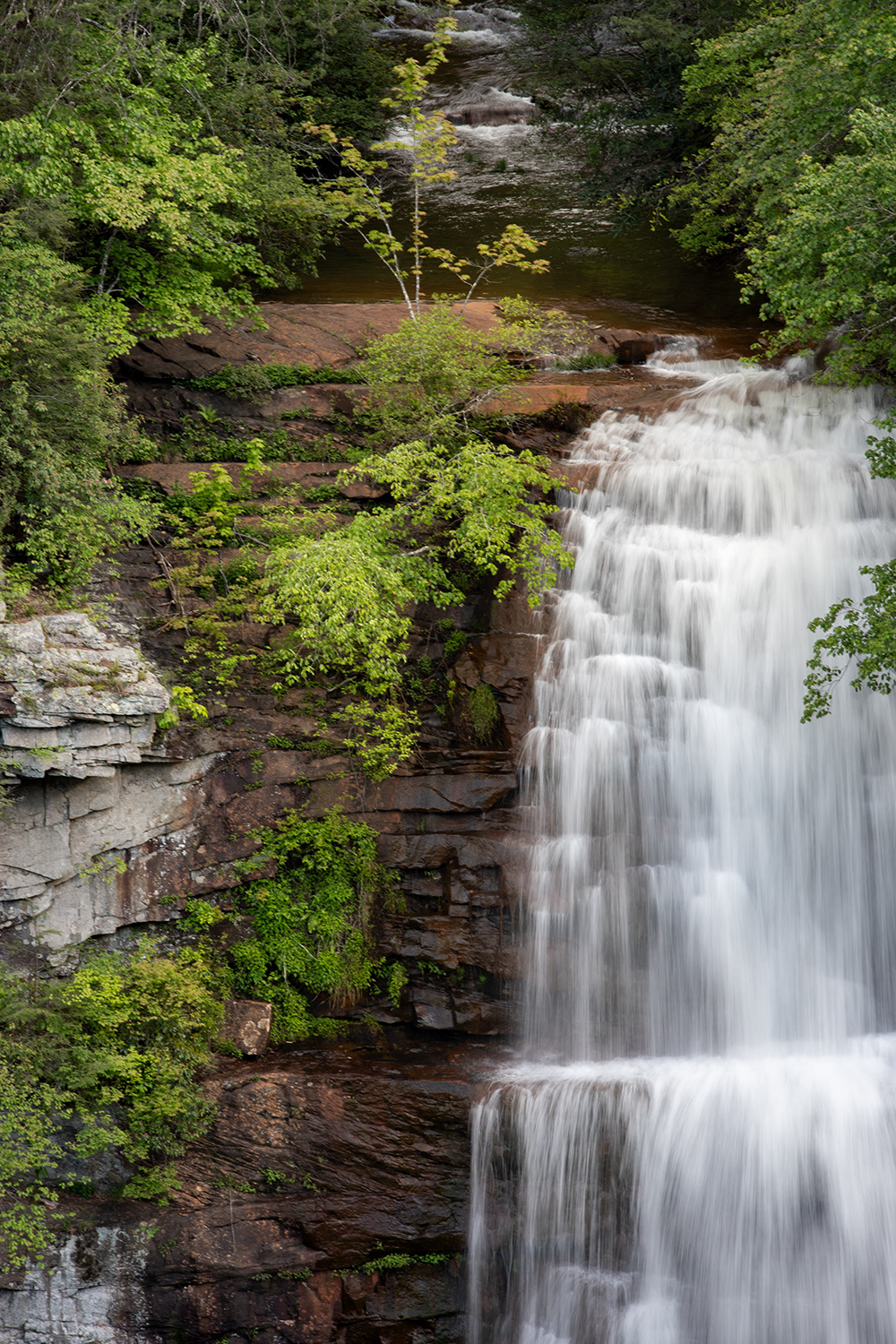 Fall Creek Falls