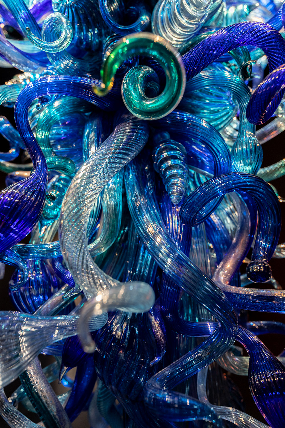 Chihuly 2, 2018