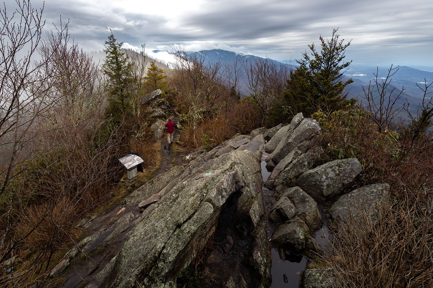 Mount Cammerer 2