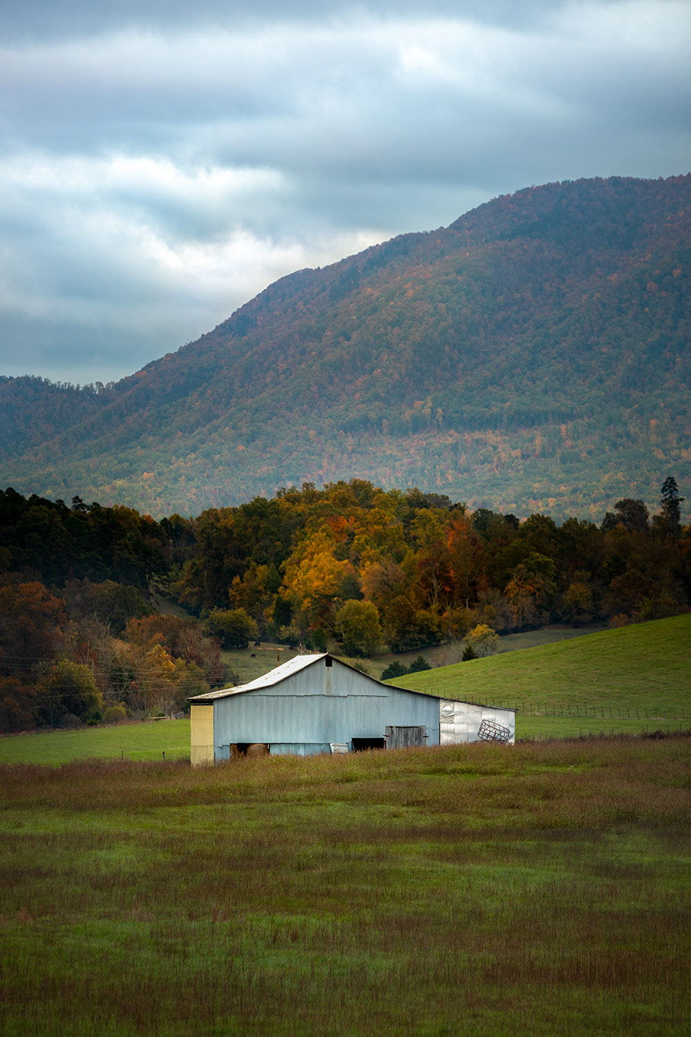 Smoky Mountain Backdrop 1, 2020