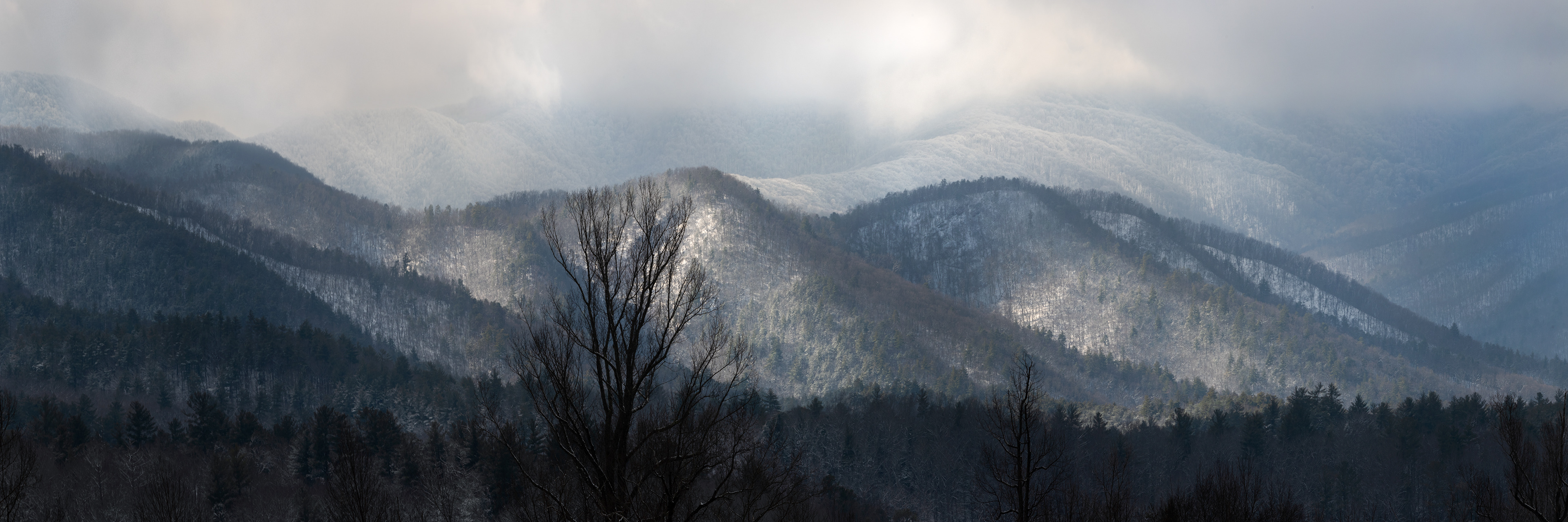 Snowy Cades Cove - GSMNP, 2020