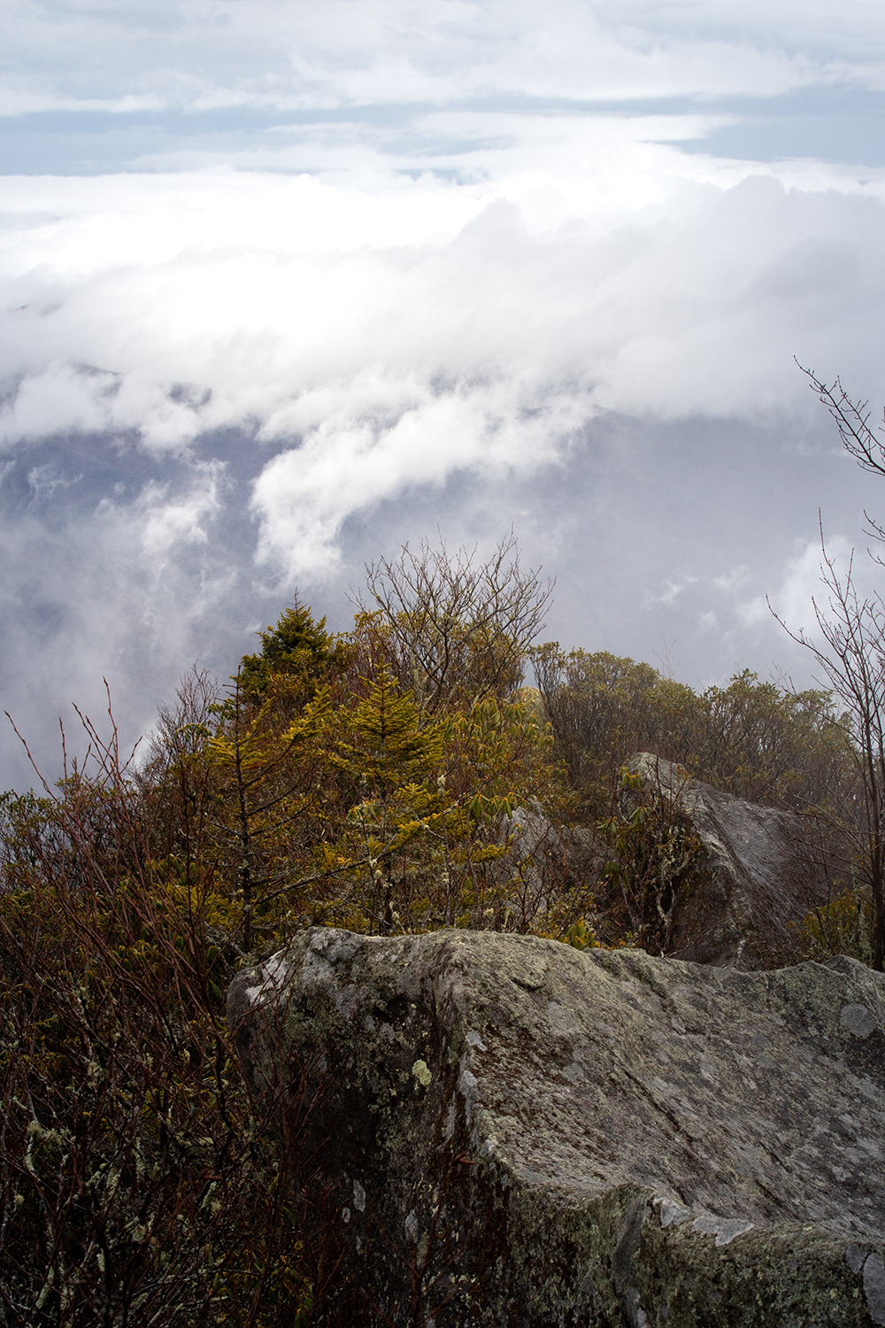Mount Cammerer 1