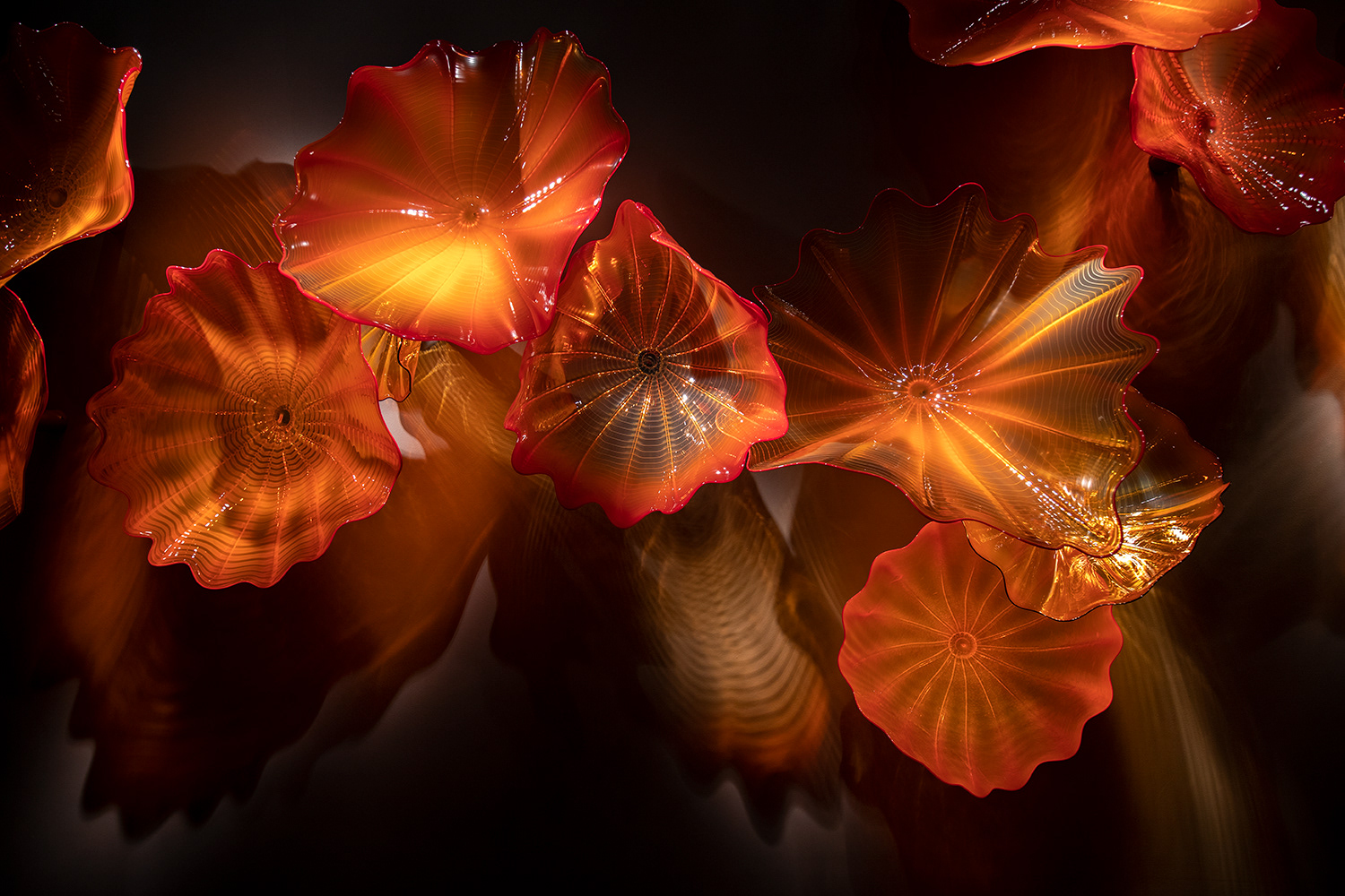 Chihuly 1, 2018