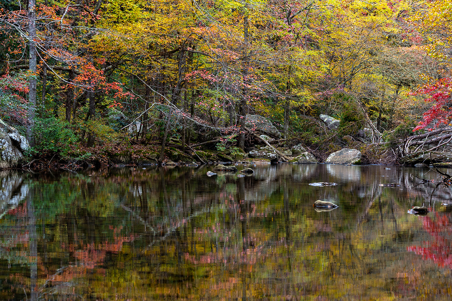 Laurel Falls 2