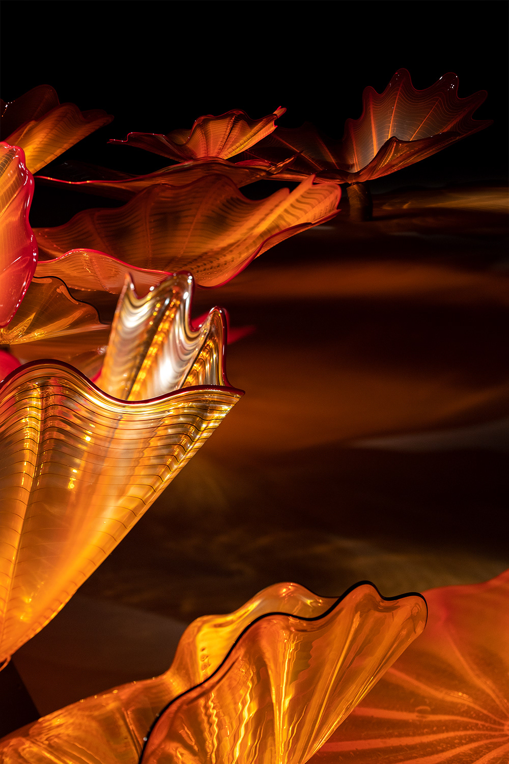 Chihuly 3, 2018