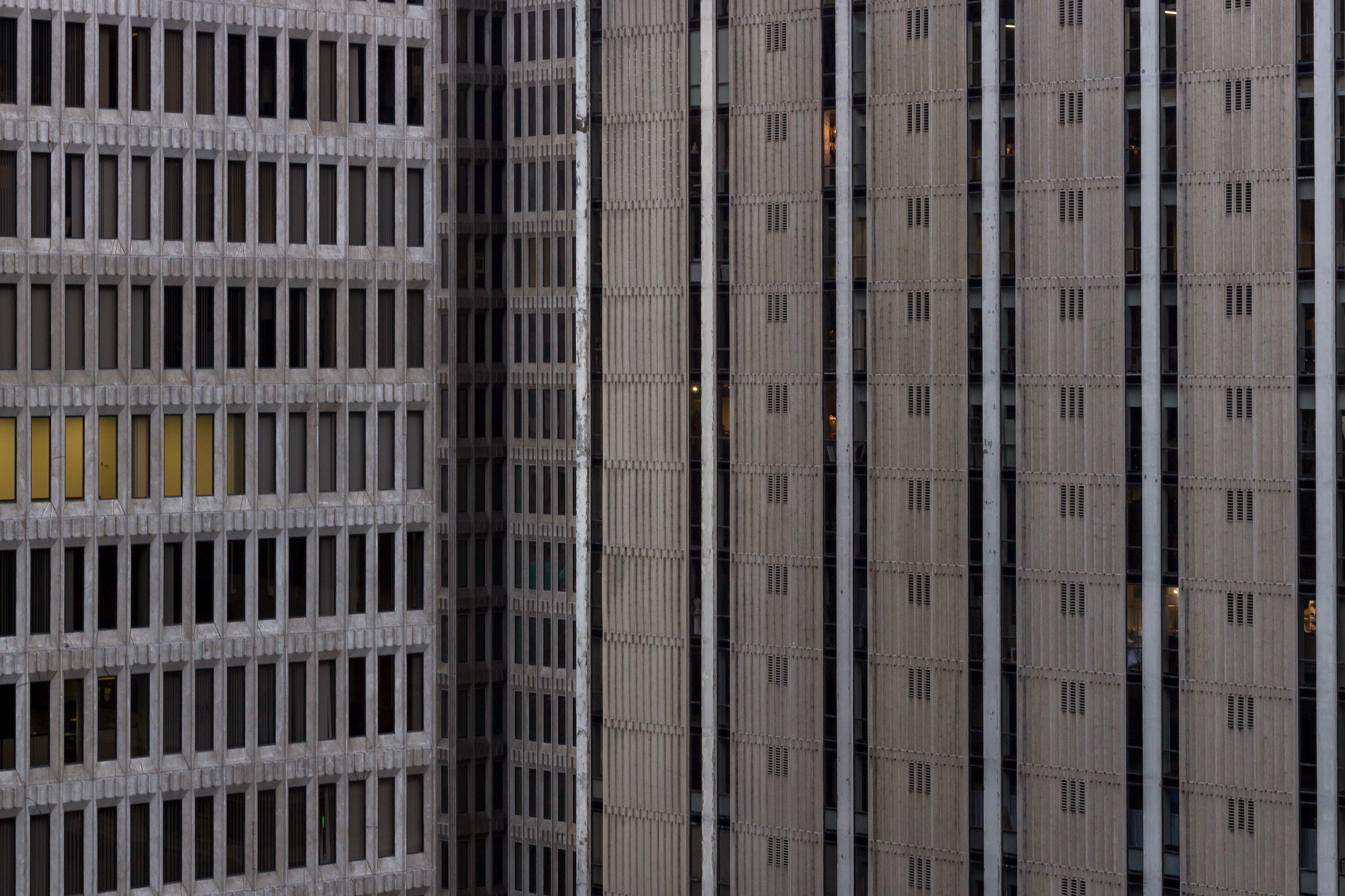 Concrete Jungle, 2017