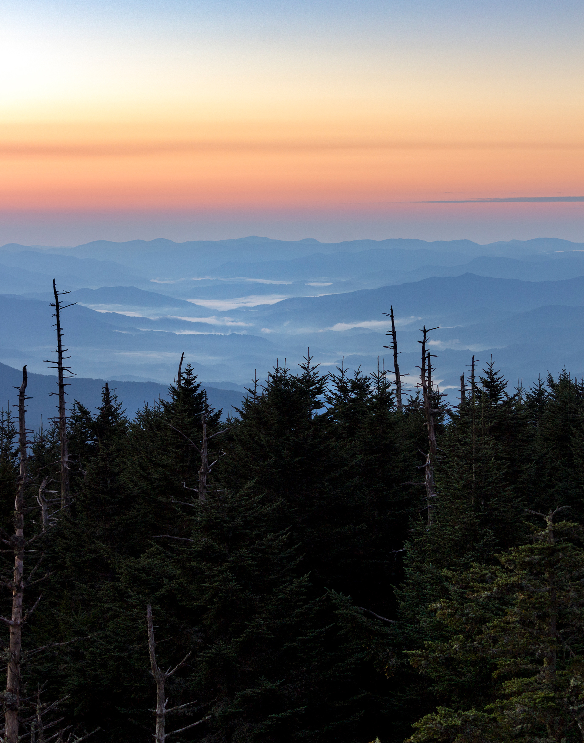 Valley Of Fog, 2015