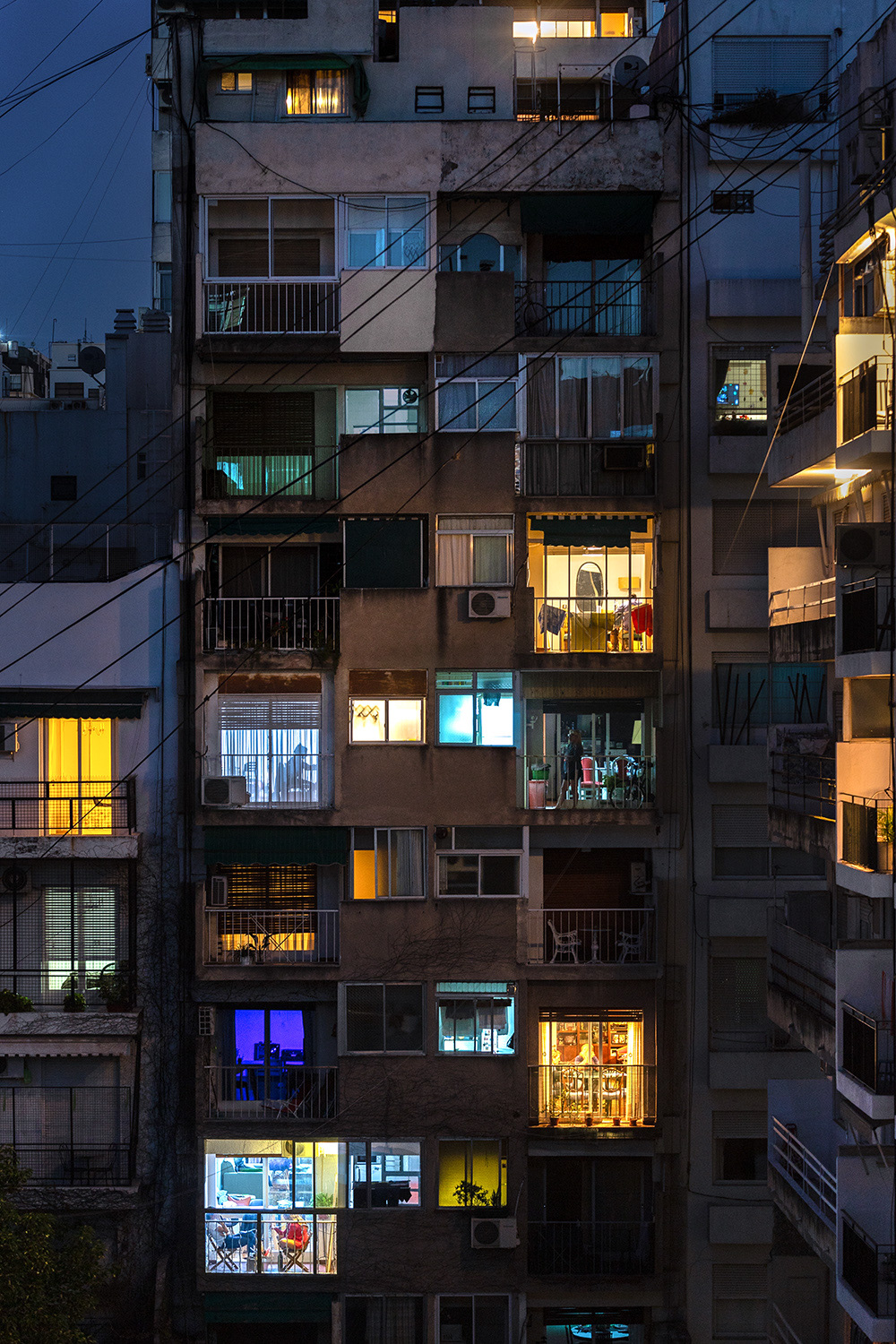 Windows Into Their Lives, 2019