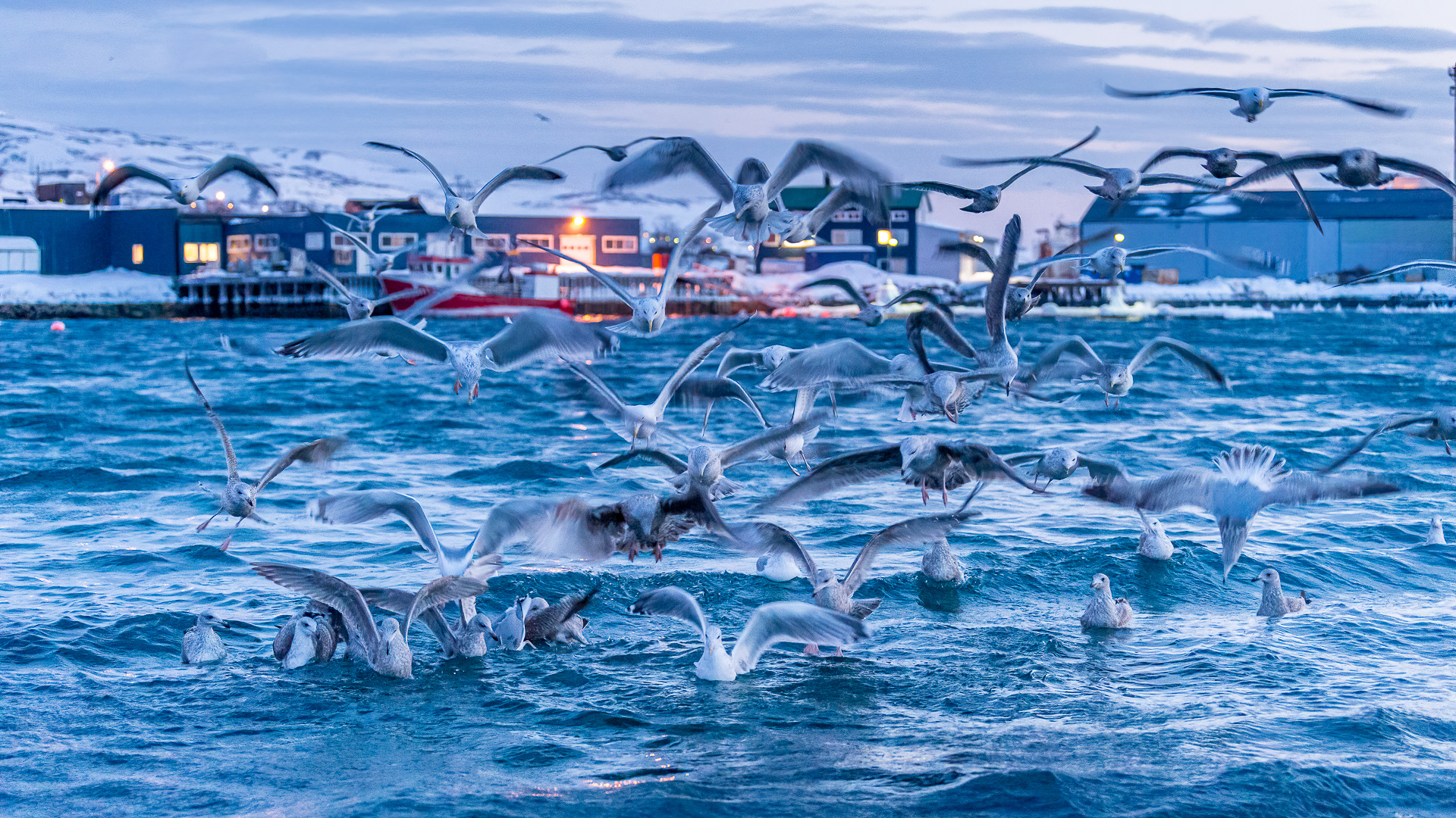 Batsfjord harbour