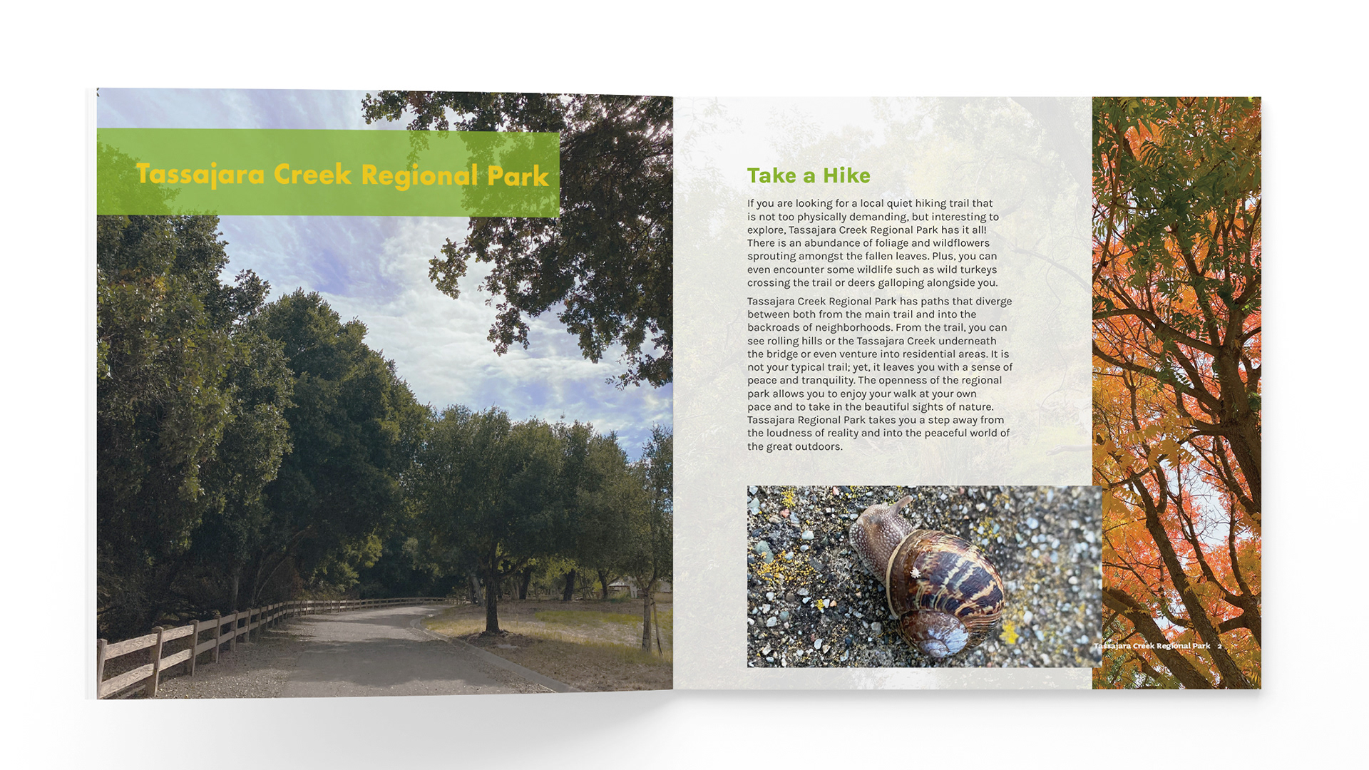 Get Lost - Tassajara Creek Regional Park