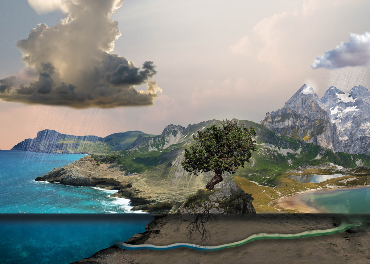 Educational Image: Hydrologic Cycle