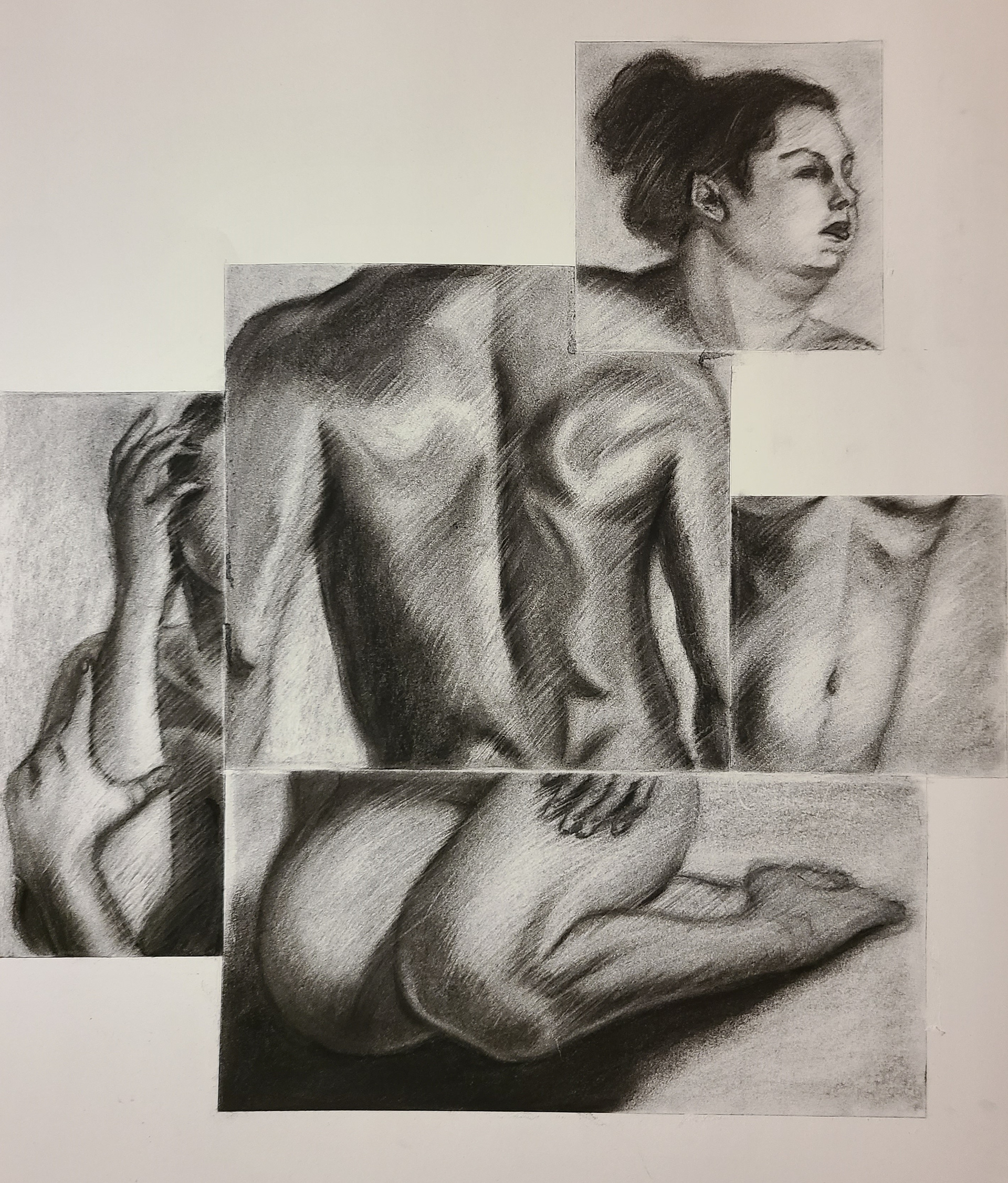 Window Life Drawings