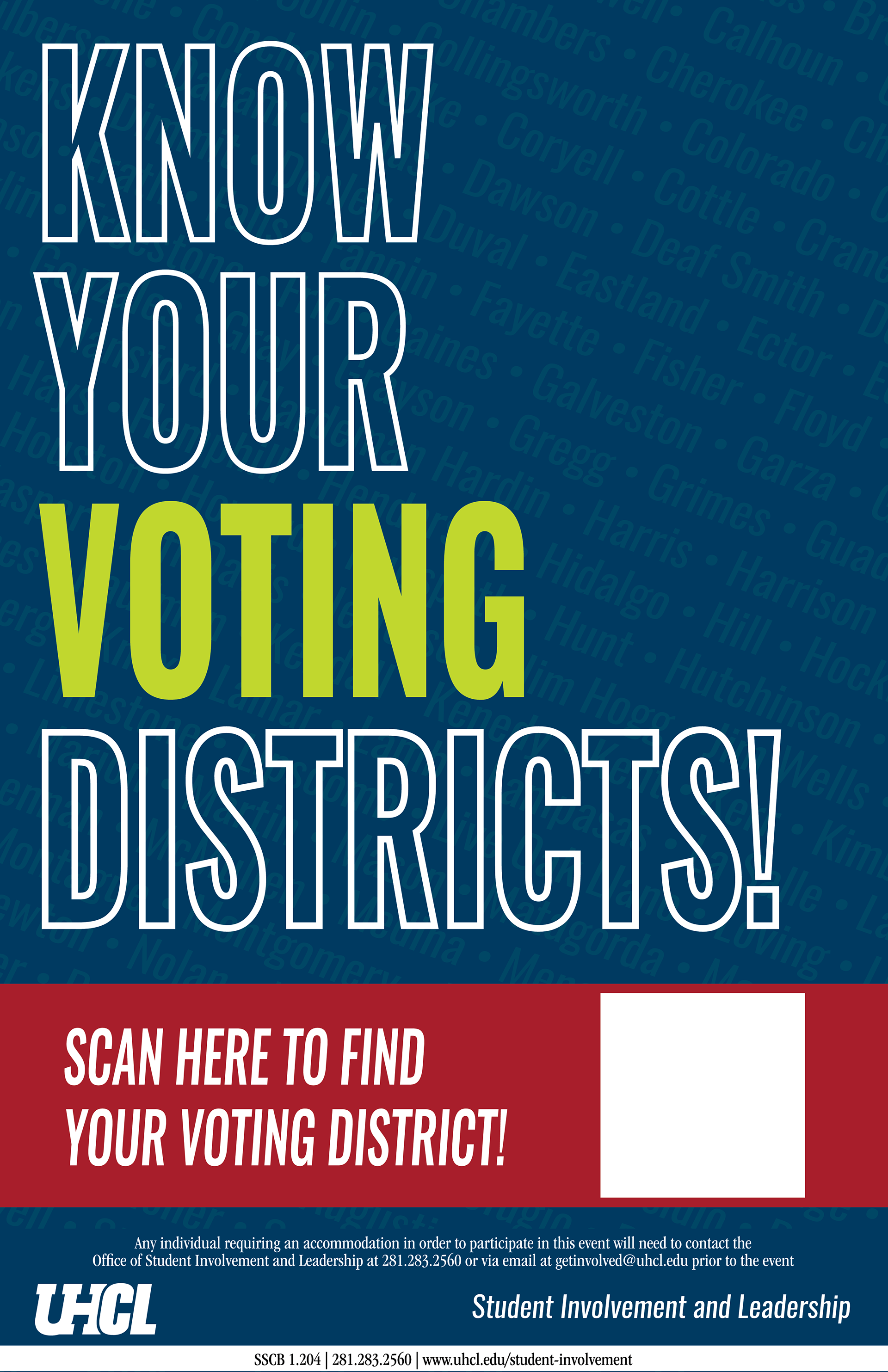 Democracy Fellows Voting Posters 1