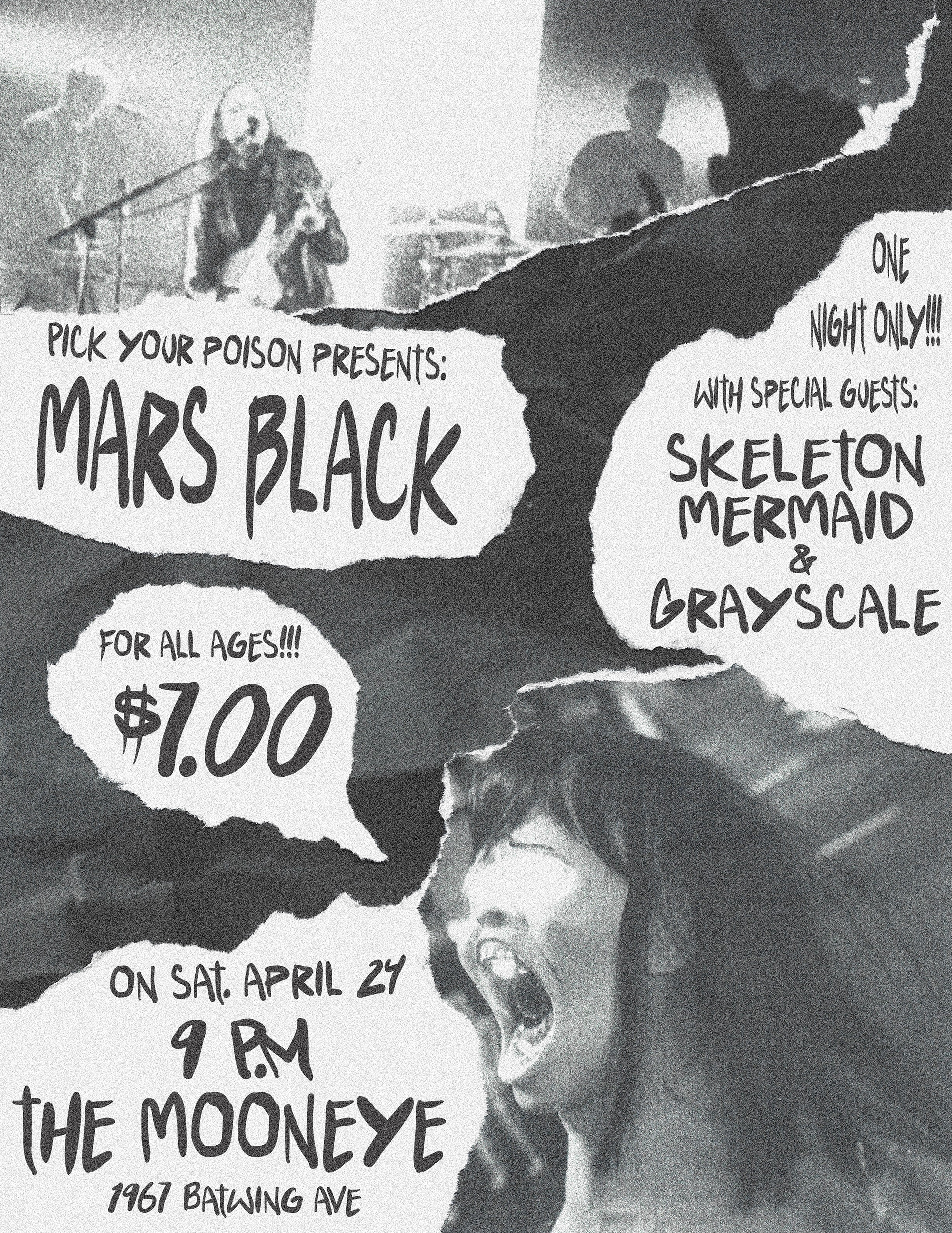 Punk Concert Poster