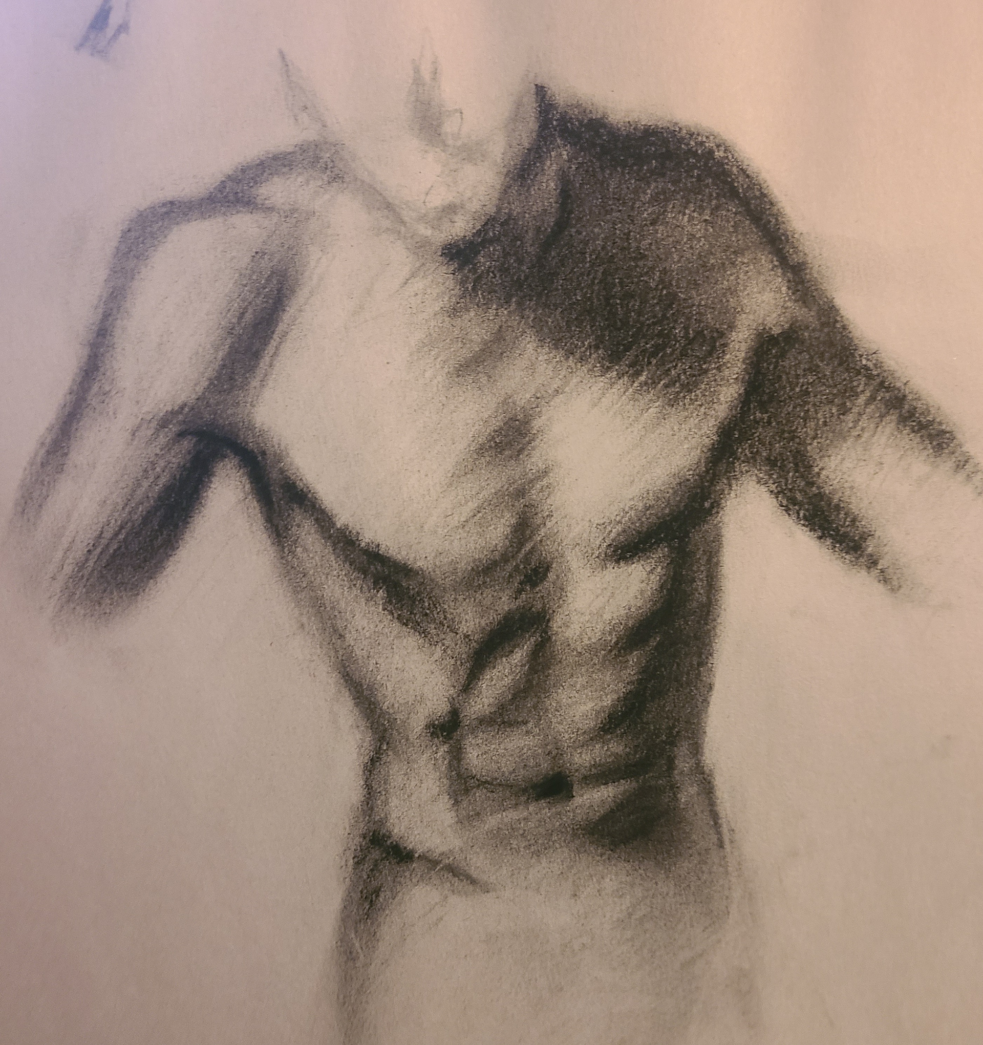 Chest Life Drawing