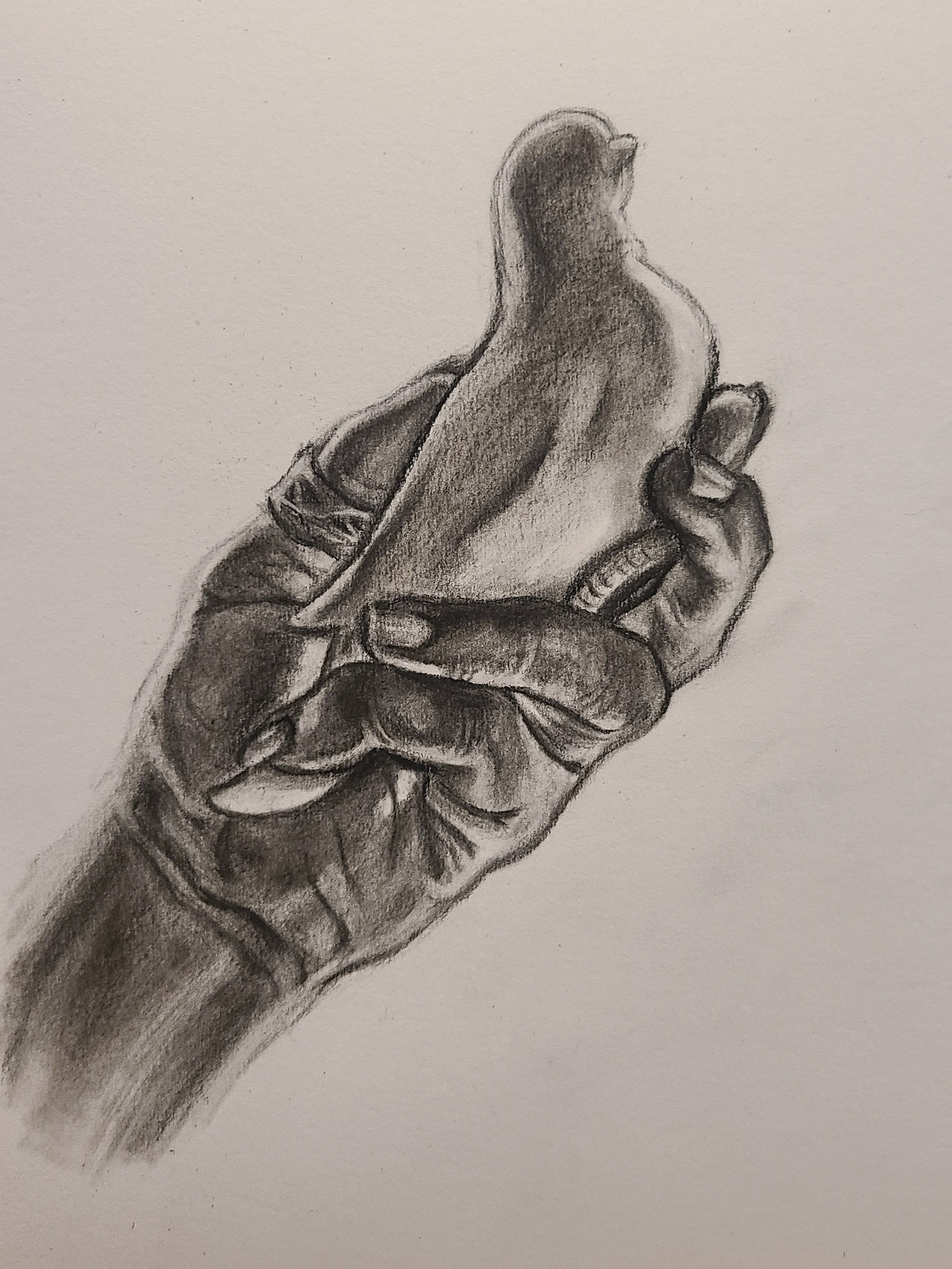 Held Bird Life Drawing